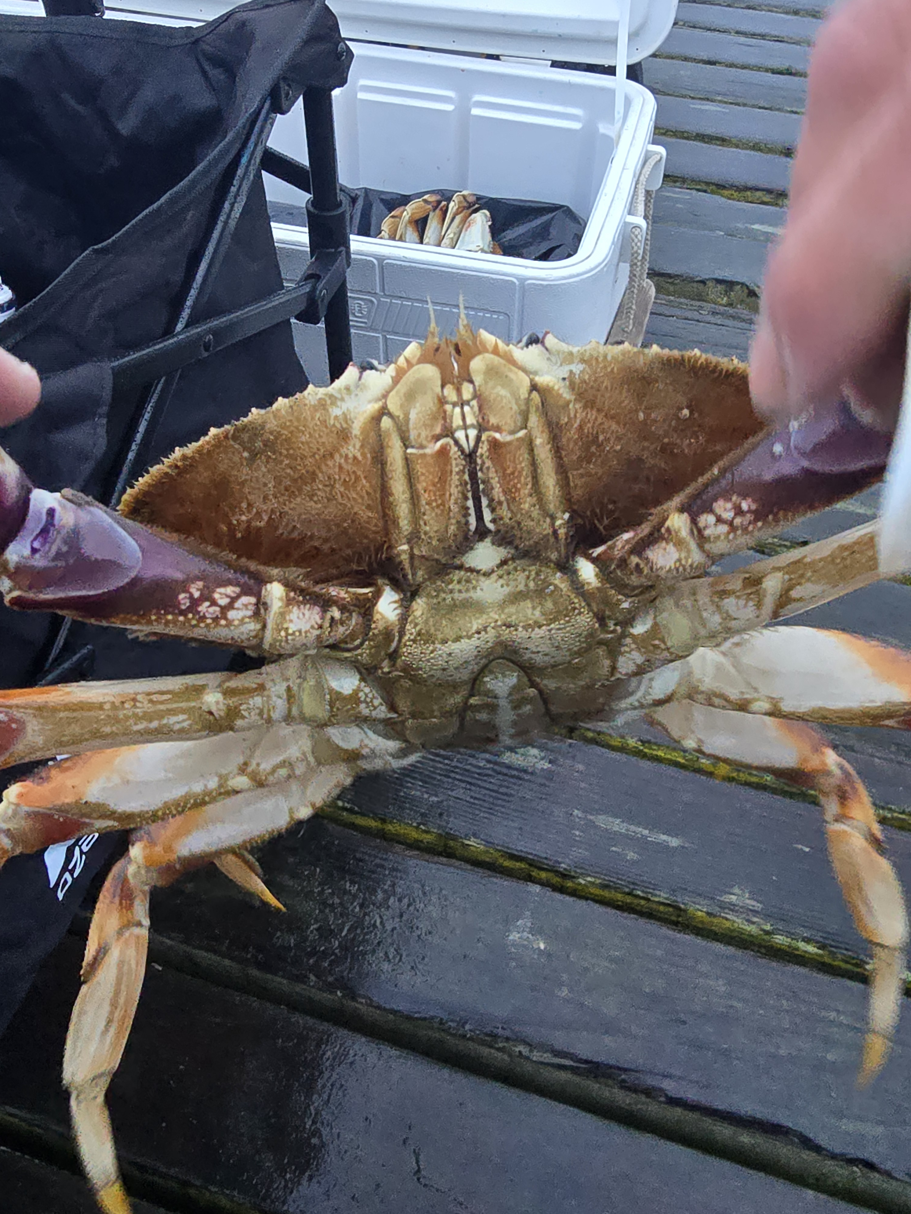 user avatar image for Alicia Conley