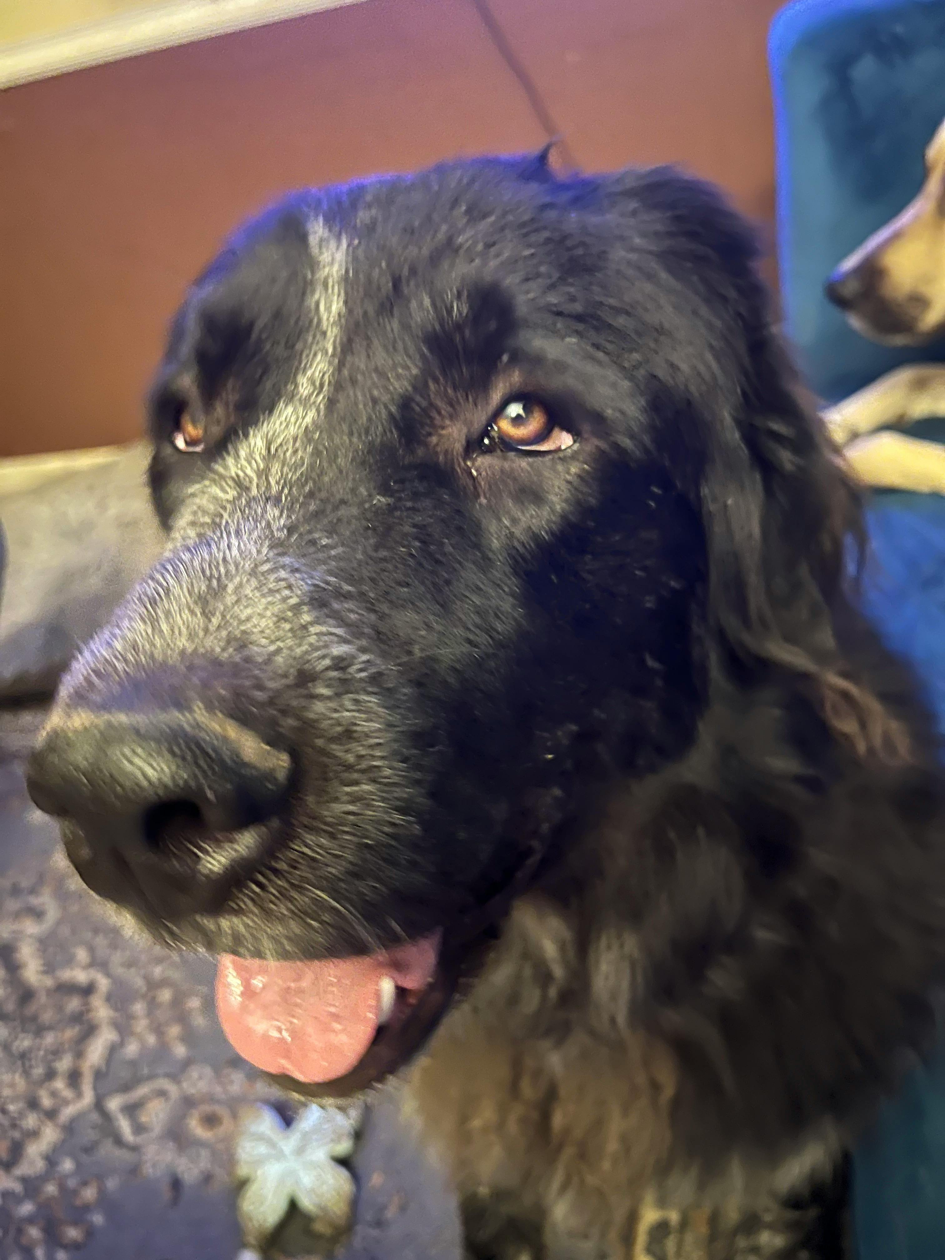 user avatar image for KD