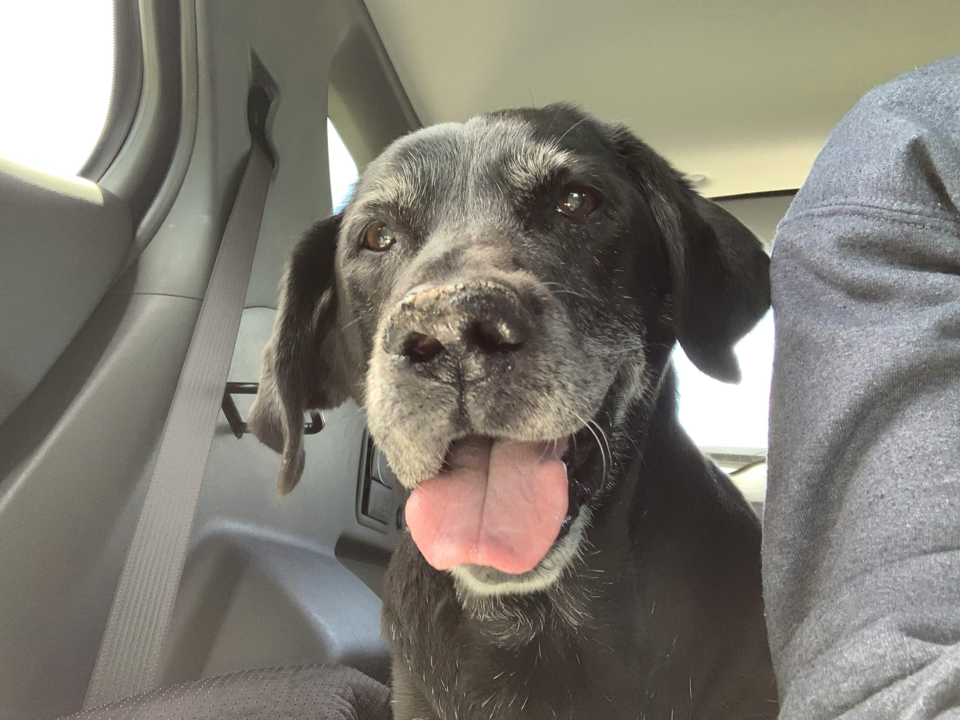 user avatar image for Dwalin