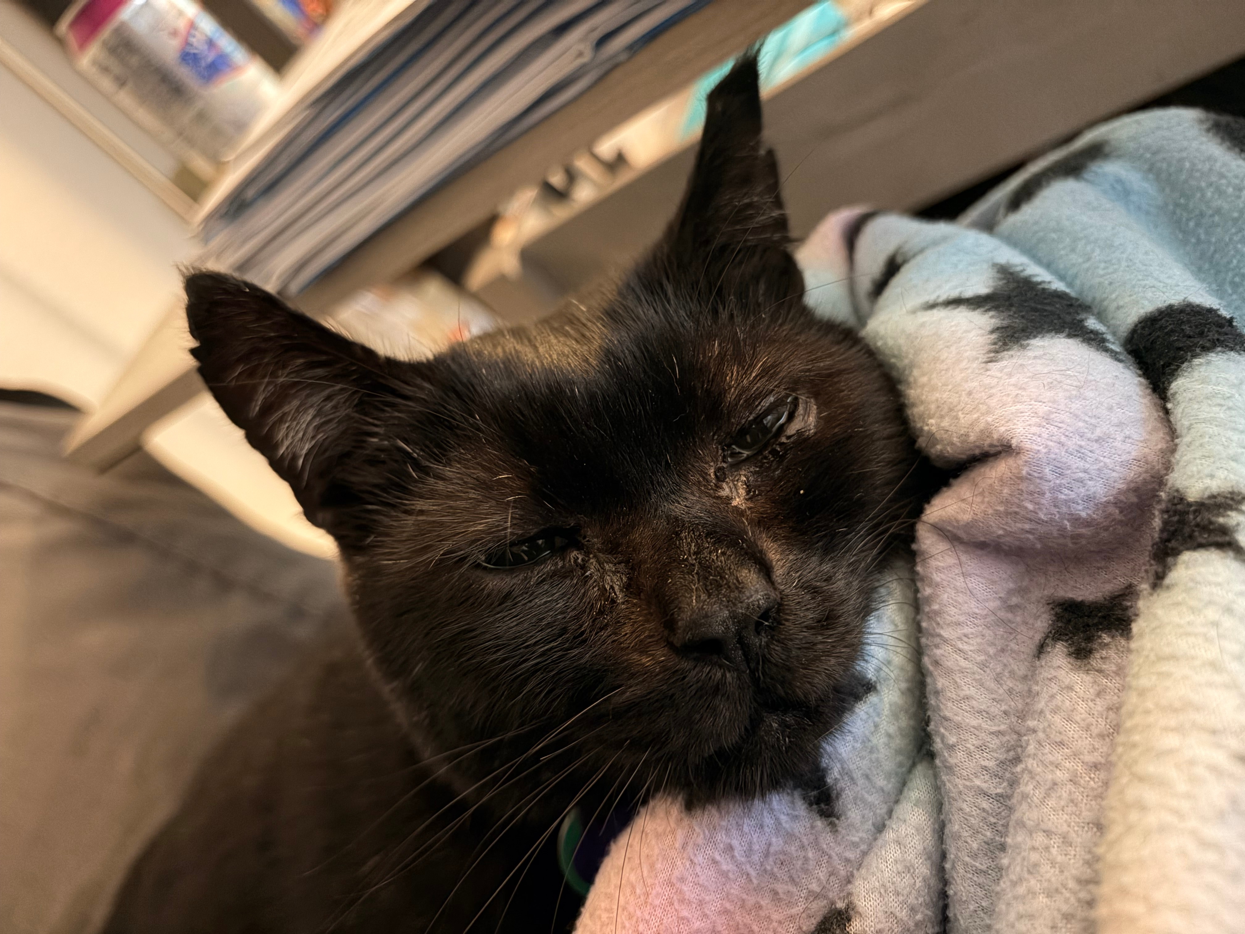 user avatar image for Elyse