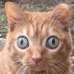 user avatar image for HerdOfMeese