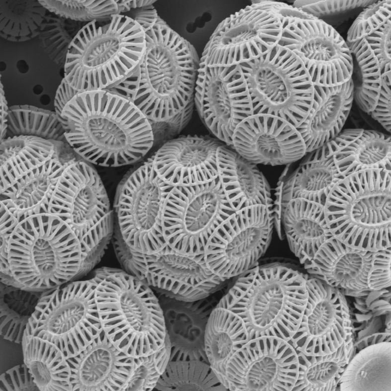 user avatar image for KEVIN WOODWARD