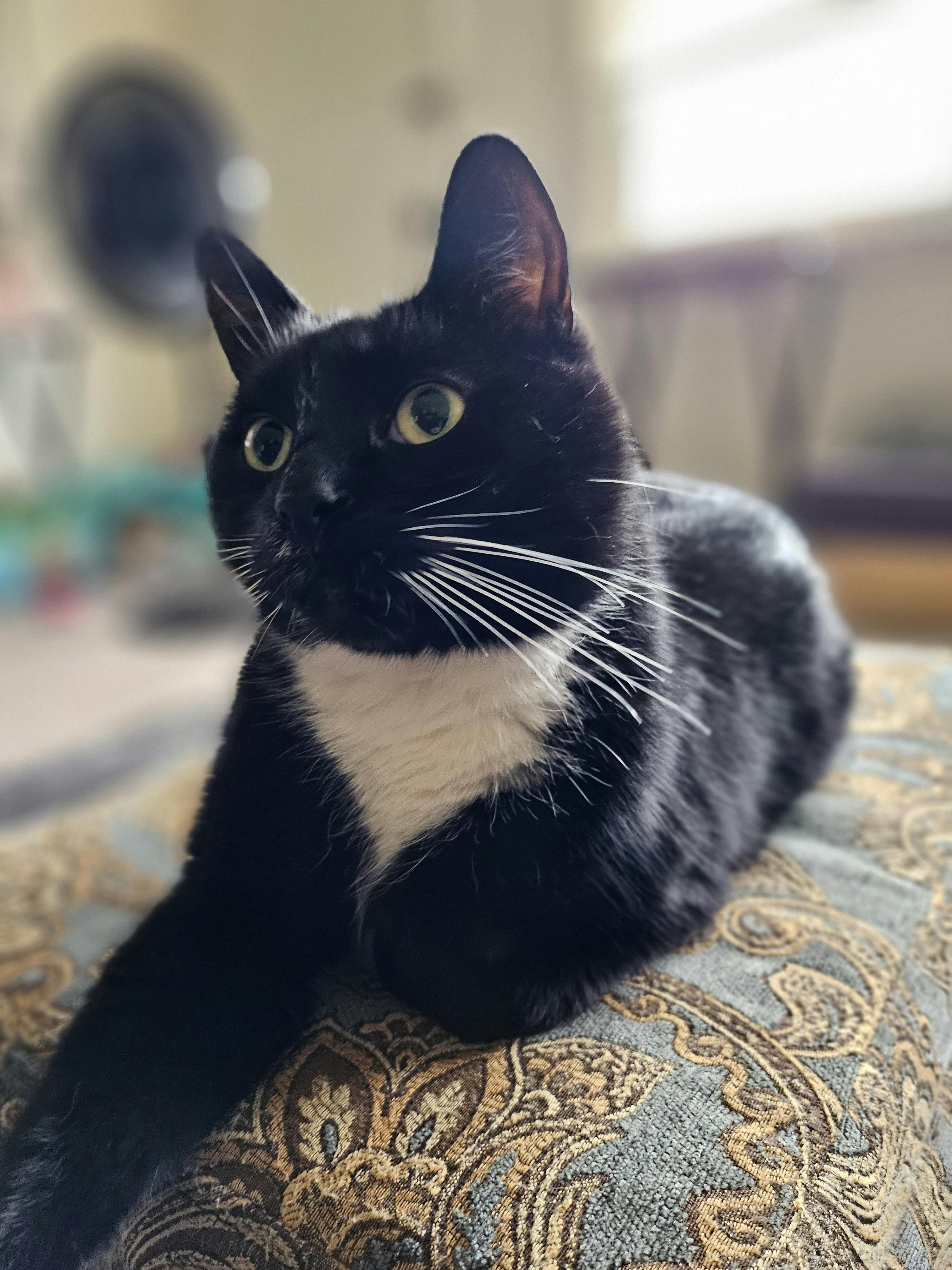 user avatar image for BigBaldBuddyJonny