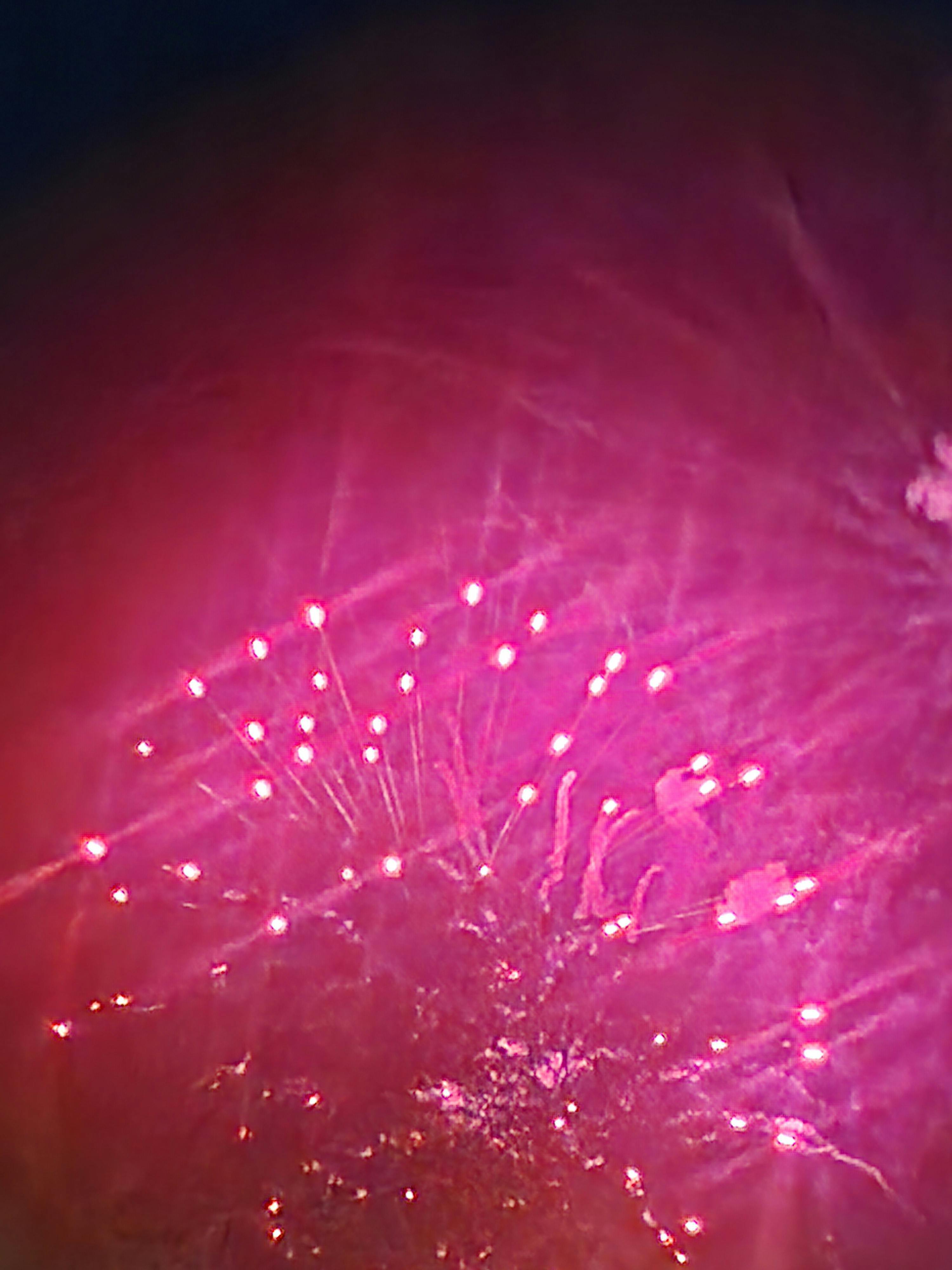 user avatar image for Terri