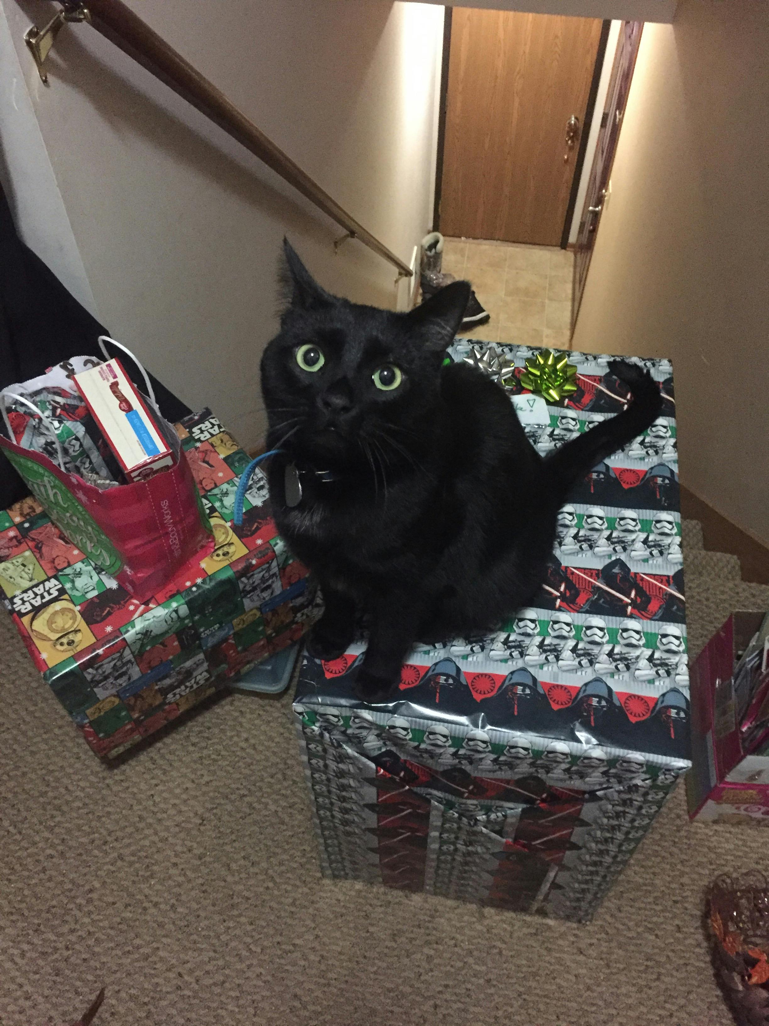 user avatar image for Jen