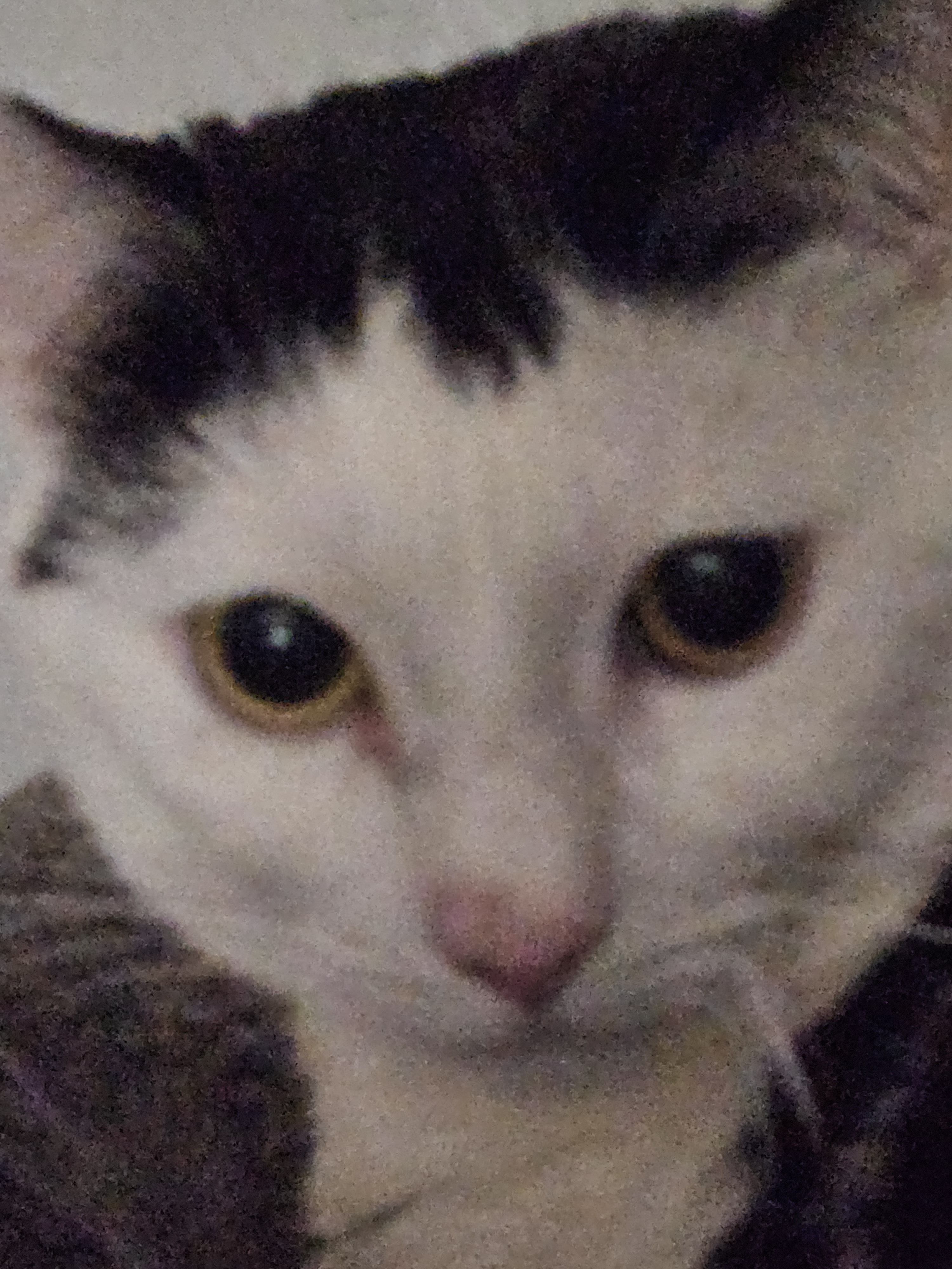 user avatar image for Miser