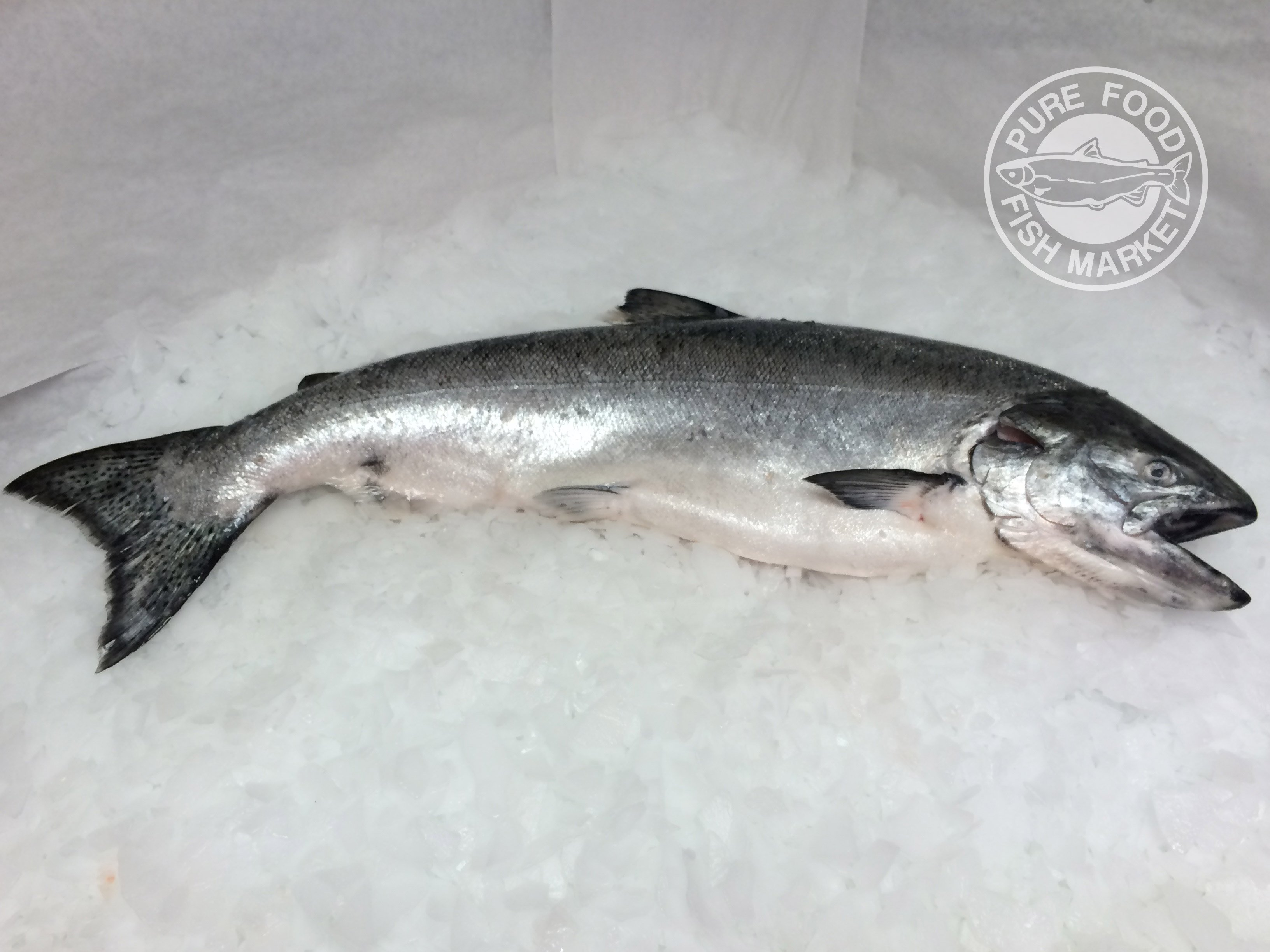 user avatar image for nnyismyname