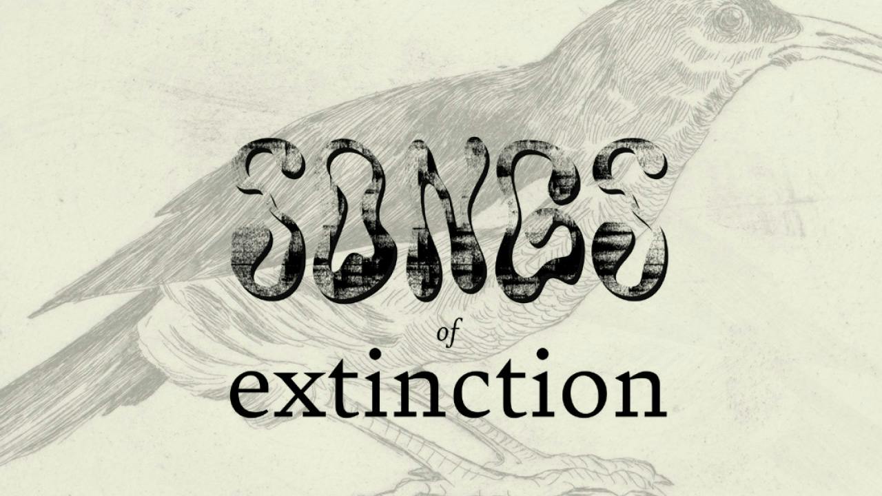 project cover image
