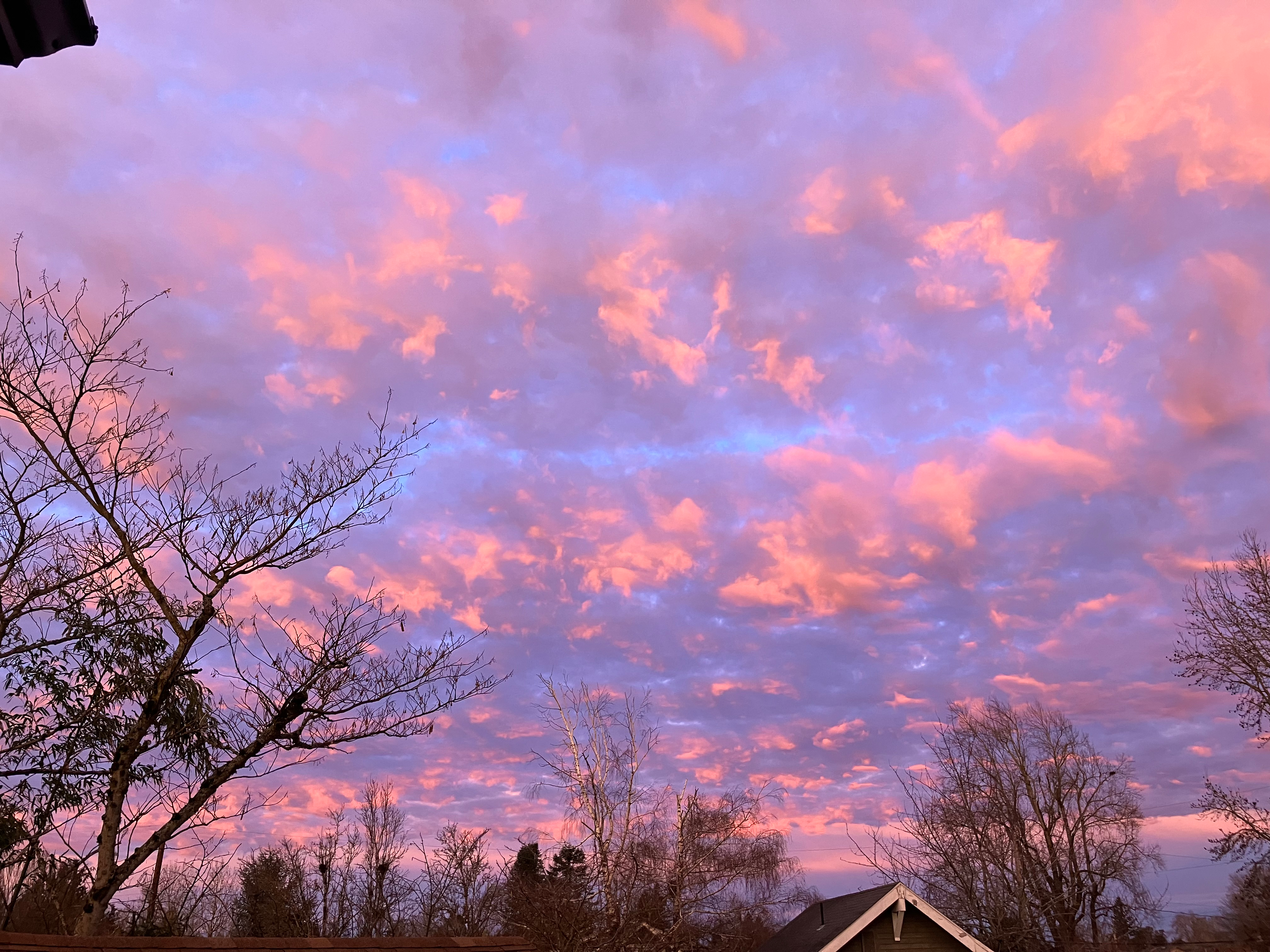 user avatar image for DrewRaine