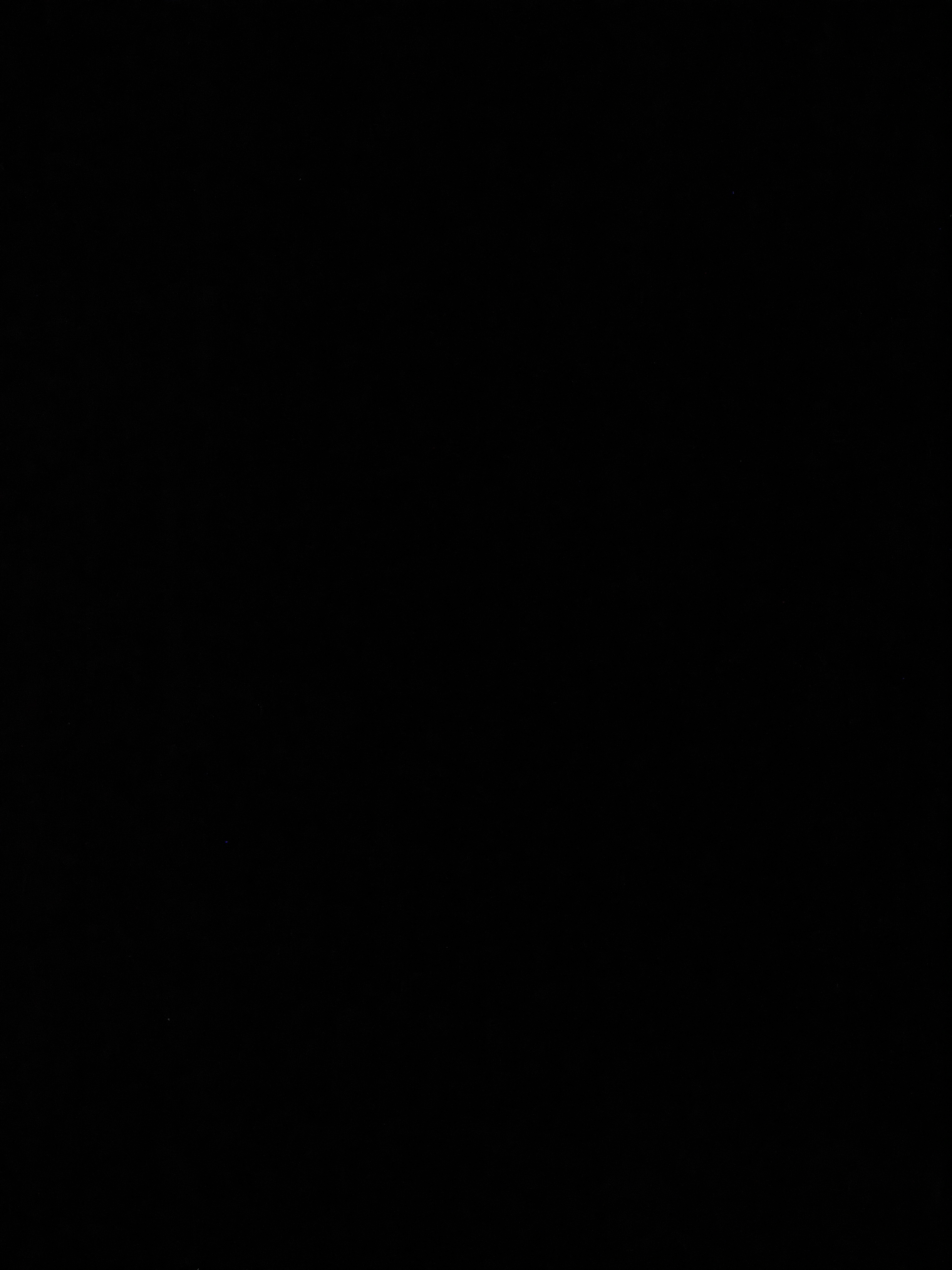 user avatar image for Adam