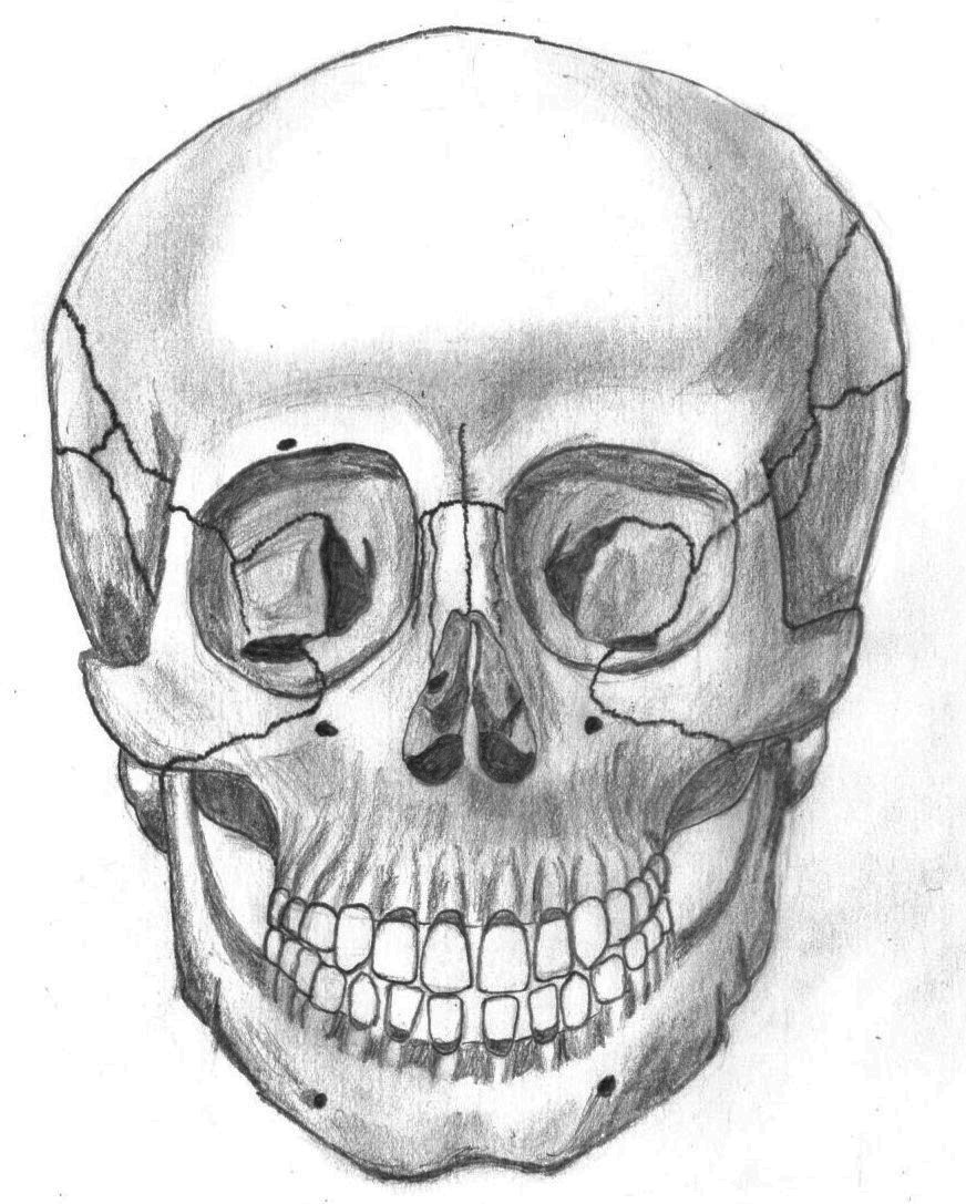 user avatar image for Banshee2974