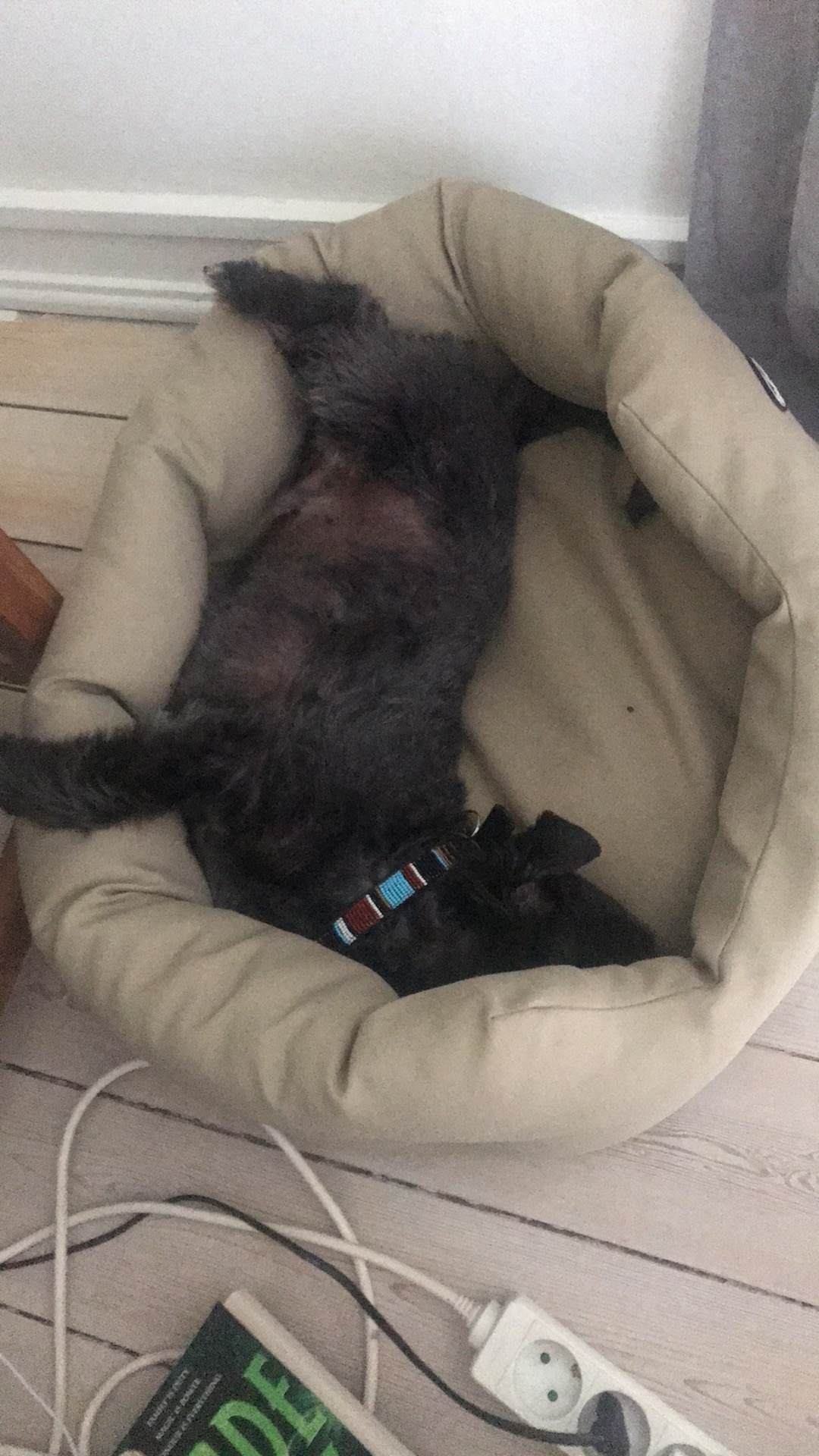 user avatar image for Magnus Troels-Smith