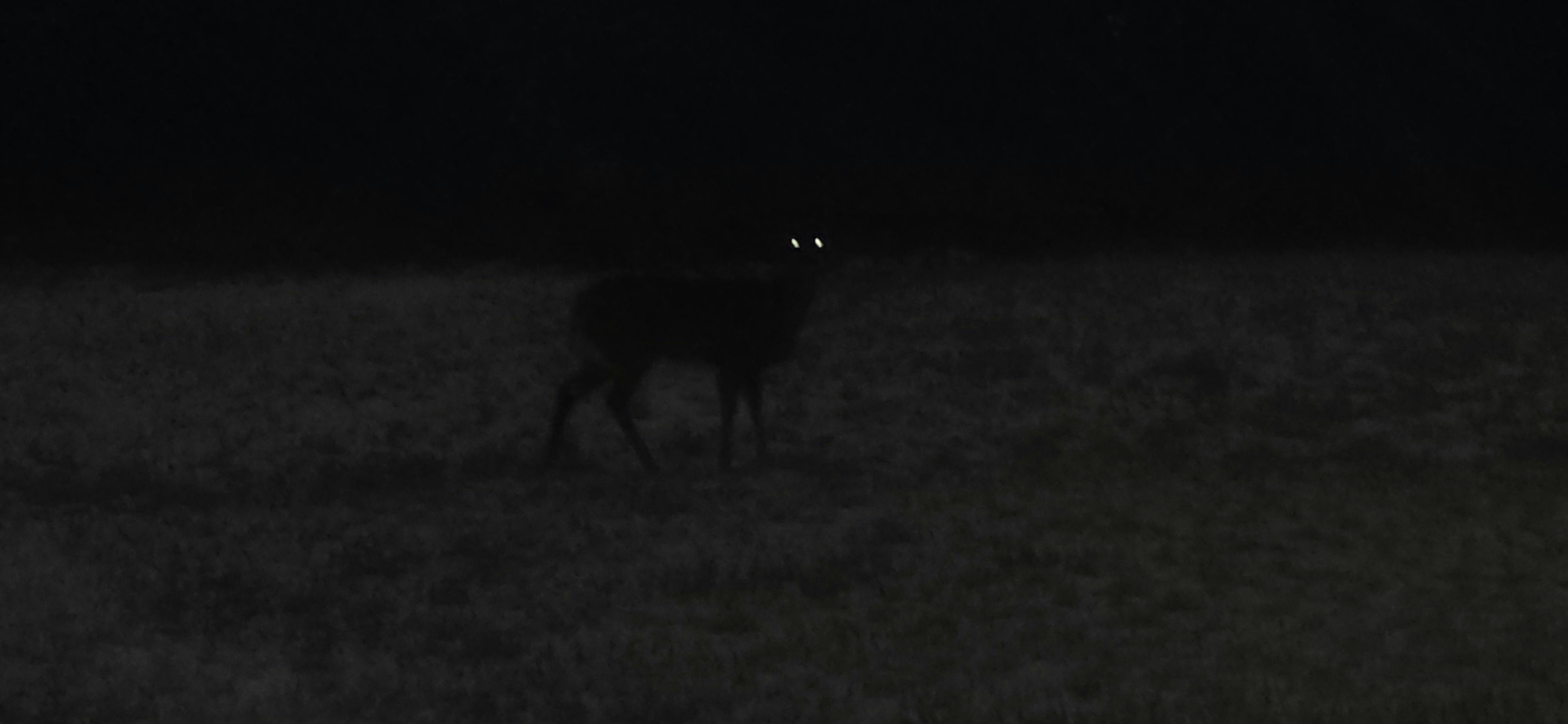 user avatar image for Ranadinn