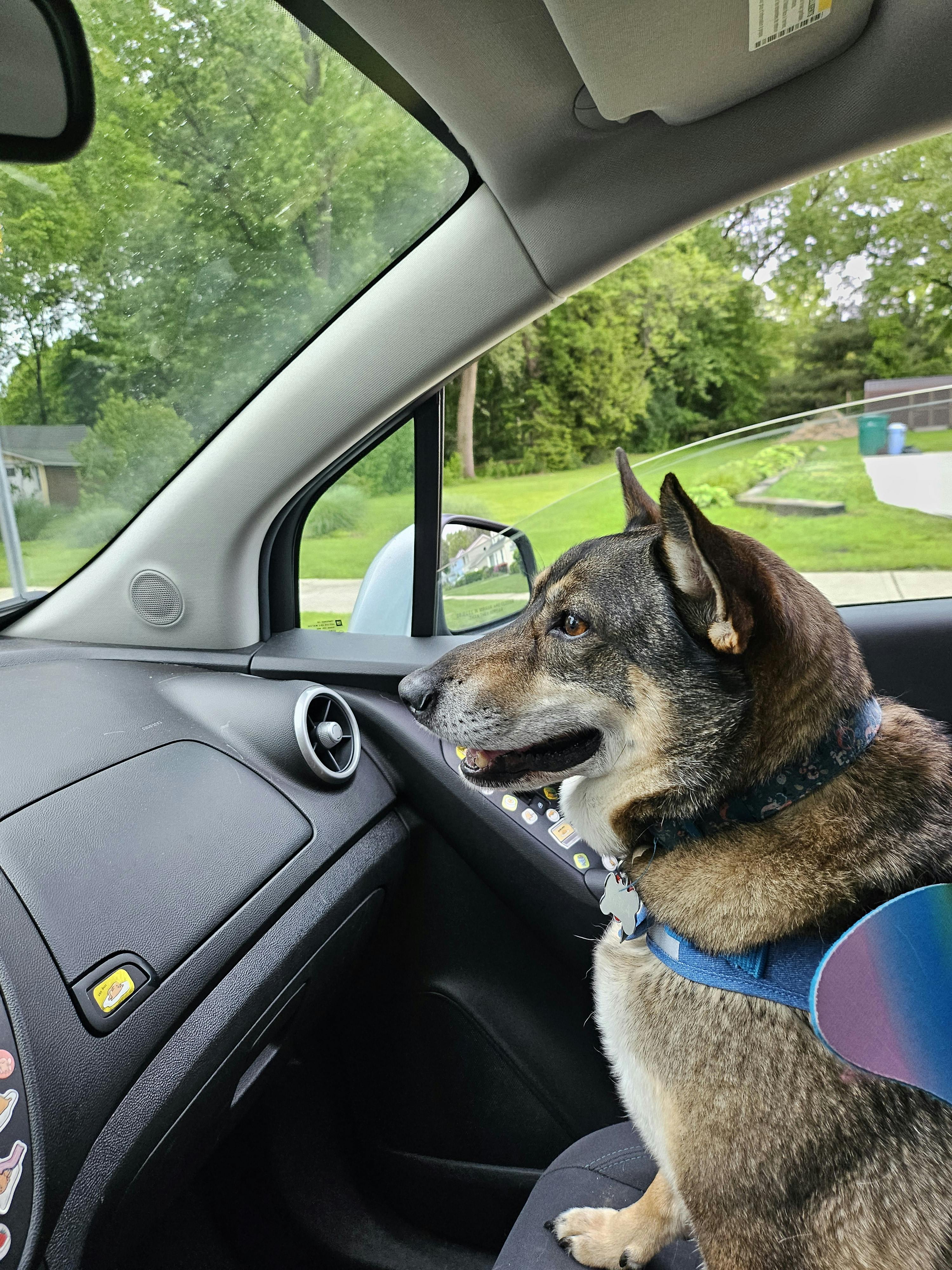 user avatar image for Lazli