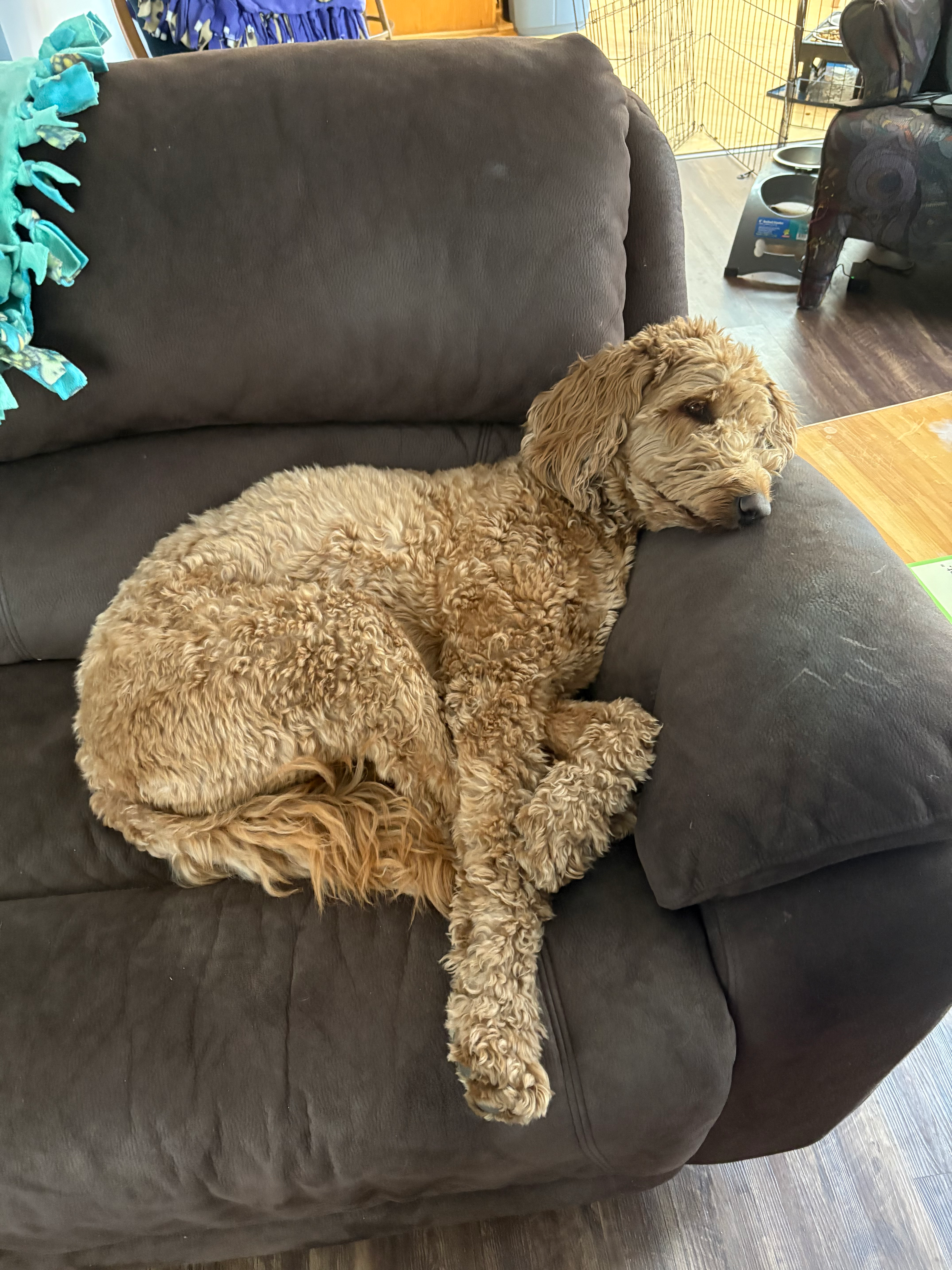 user avatar image for Caspian Robins