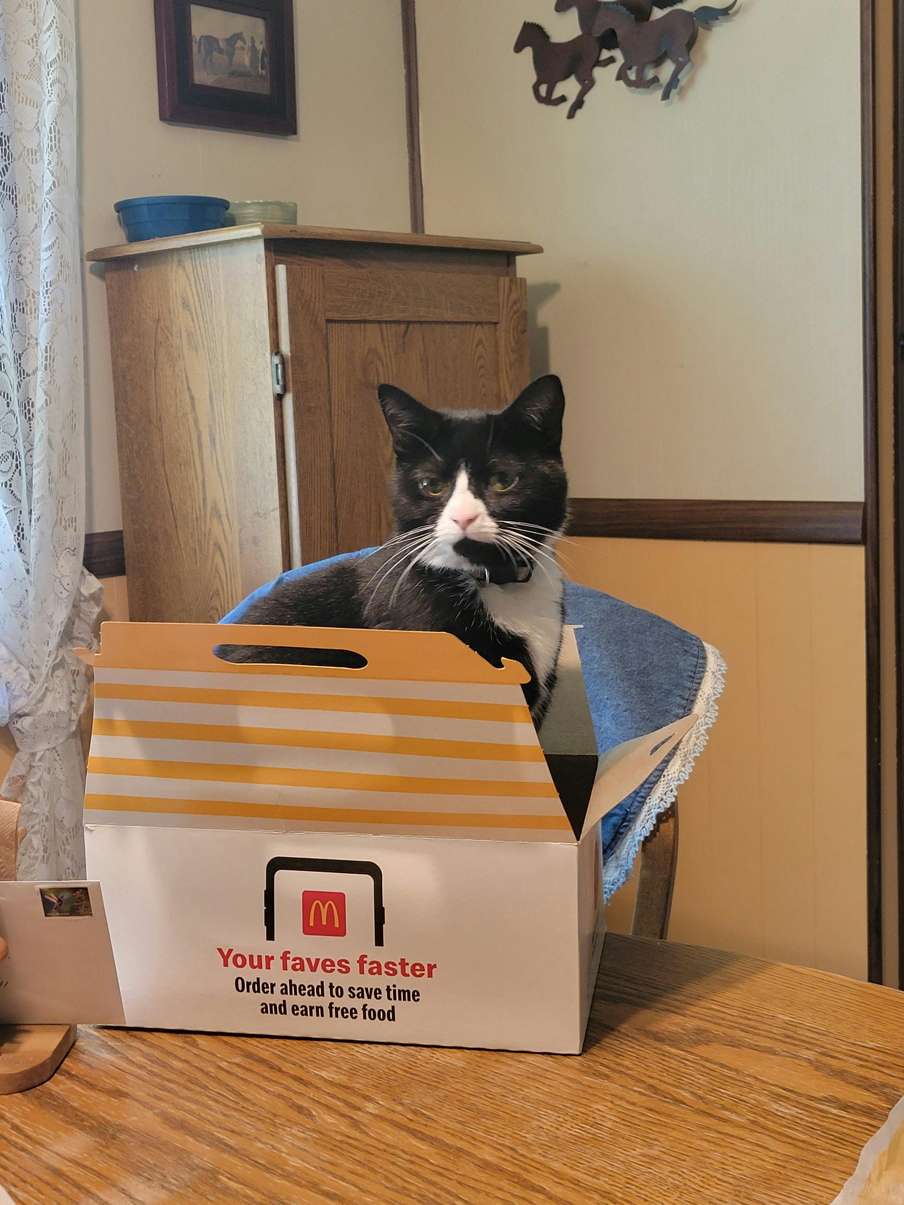 user avatar image for Cassie