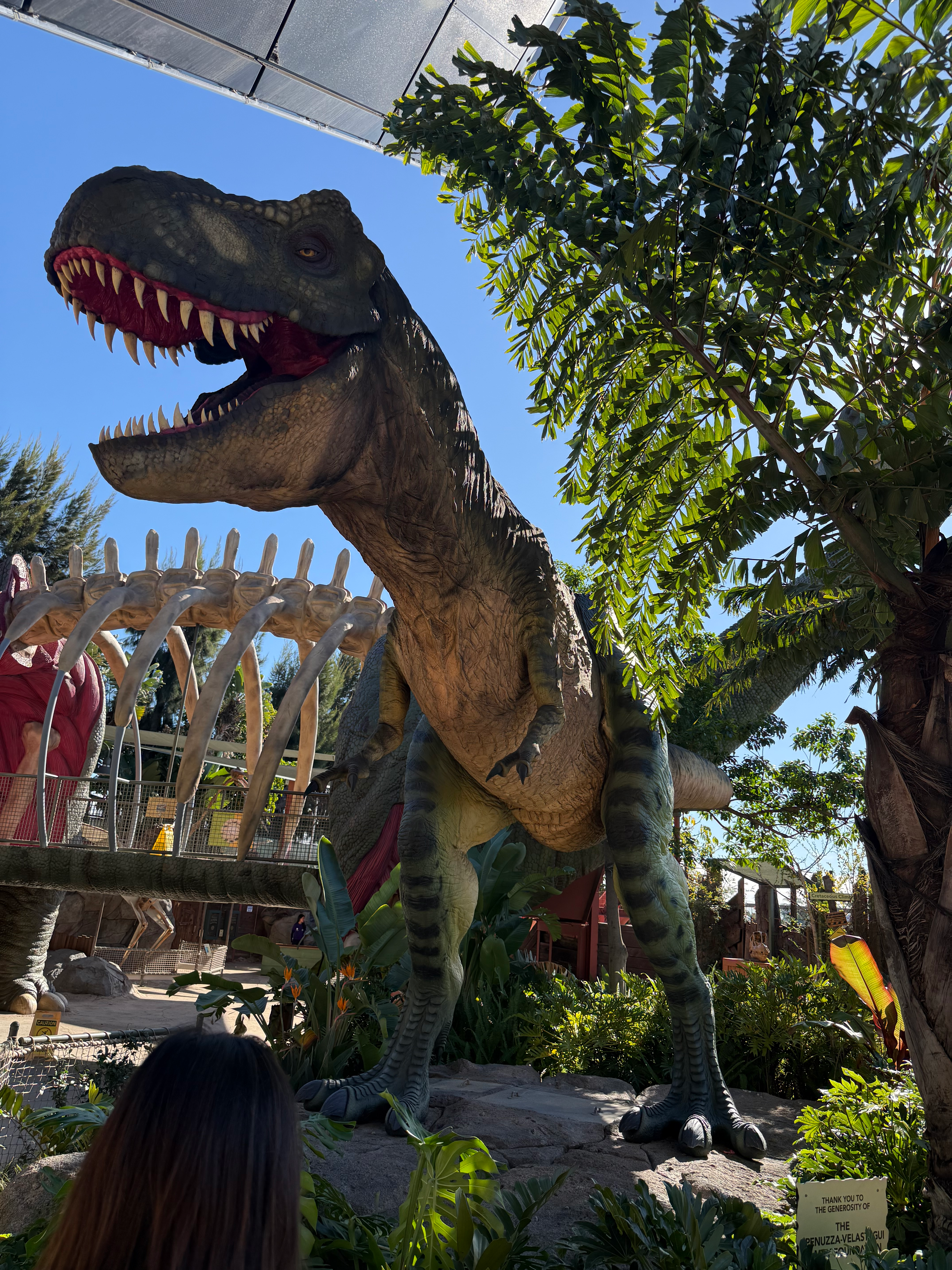 user avatar image for Ryan Lee