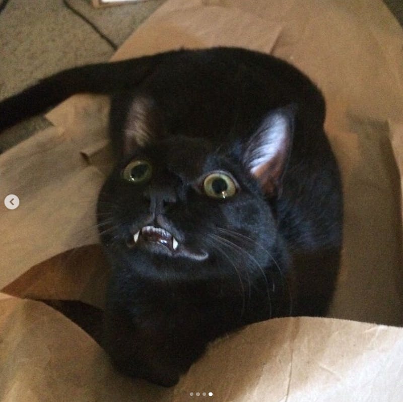 user avatar image for Ash C