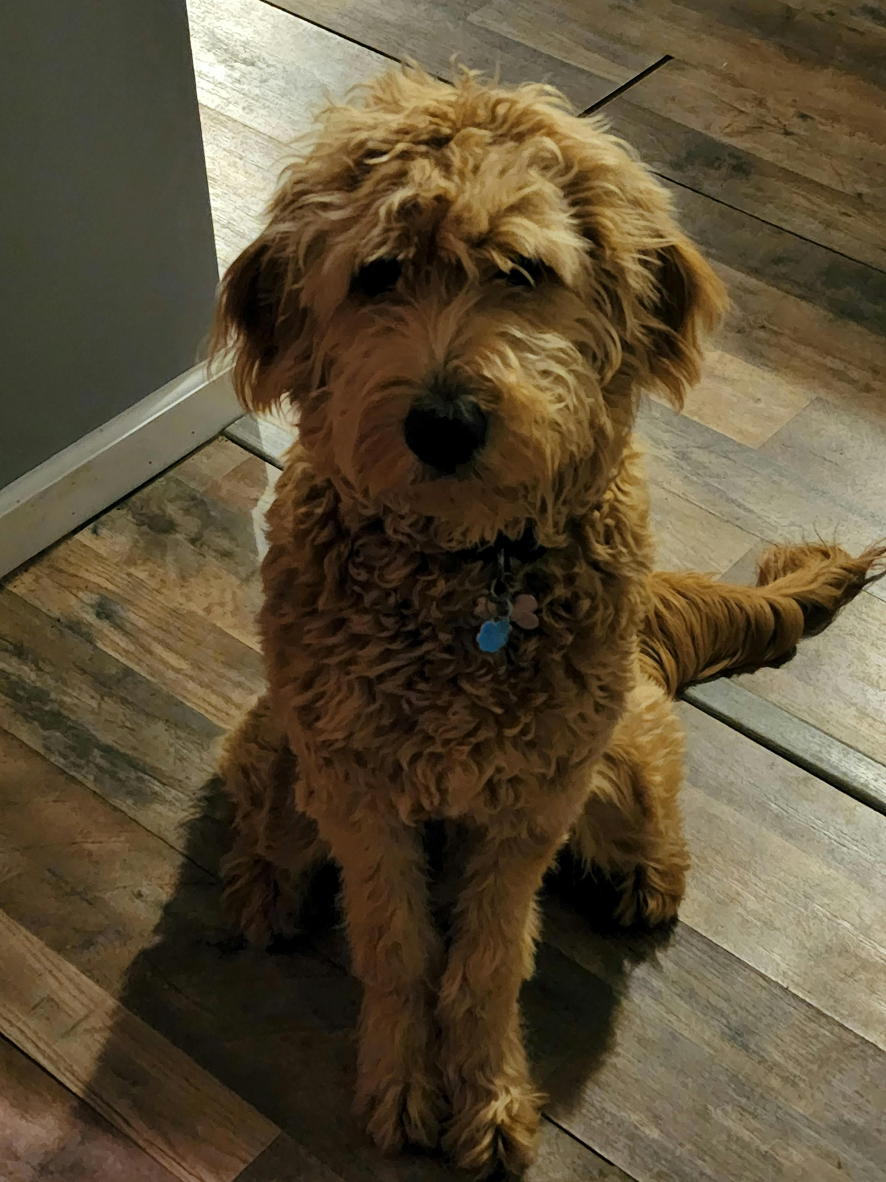 user avatar image for Saltyhooker