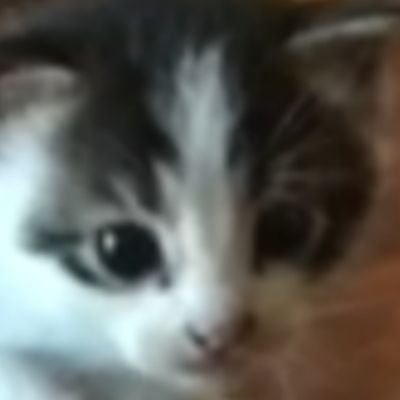 user avatar image for ChipNoe