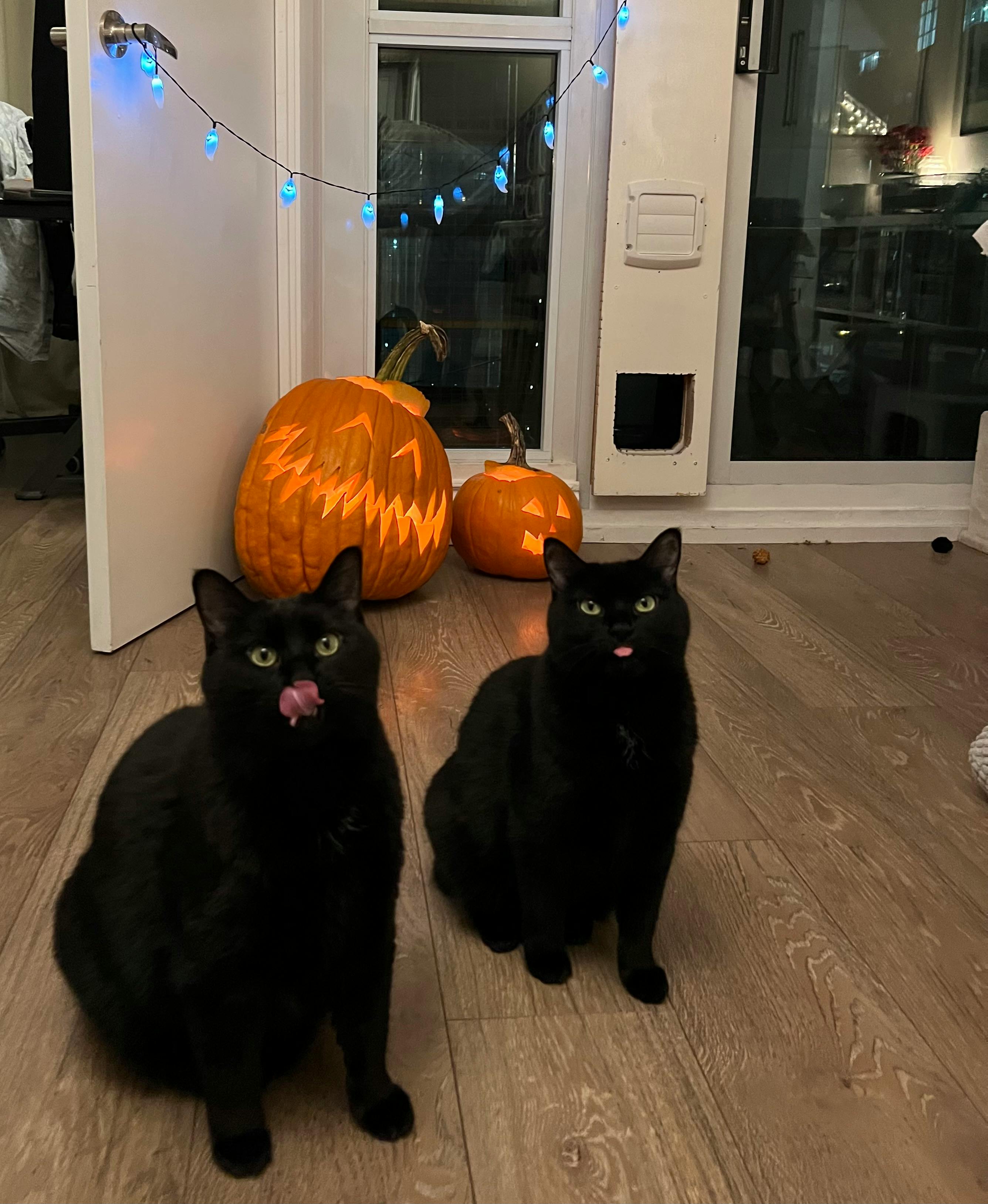 user avatar image for Esteban Dorado