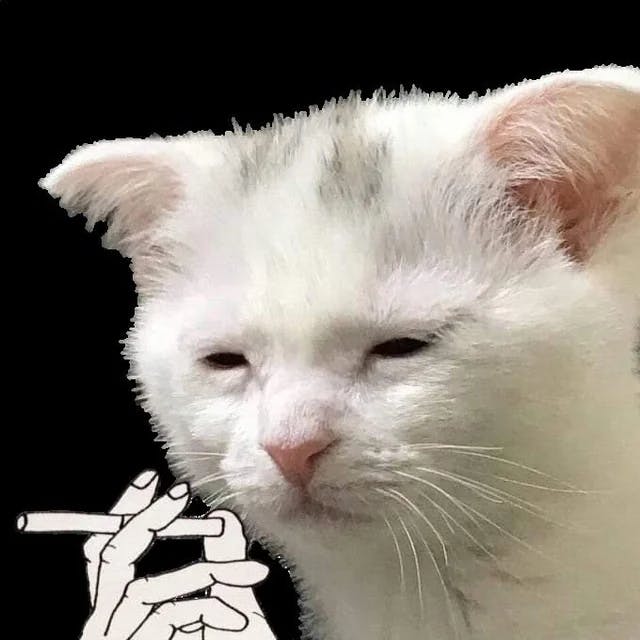 user avatar image for Em