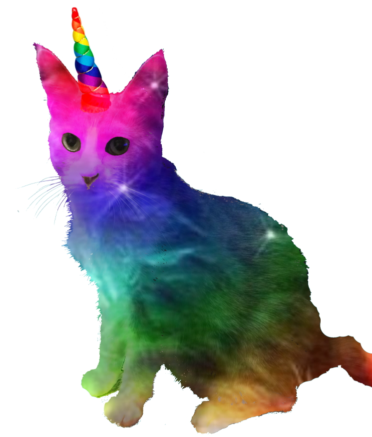 user avatar image for Anonymous Cardinal #2126973