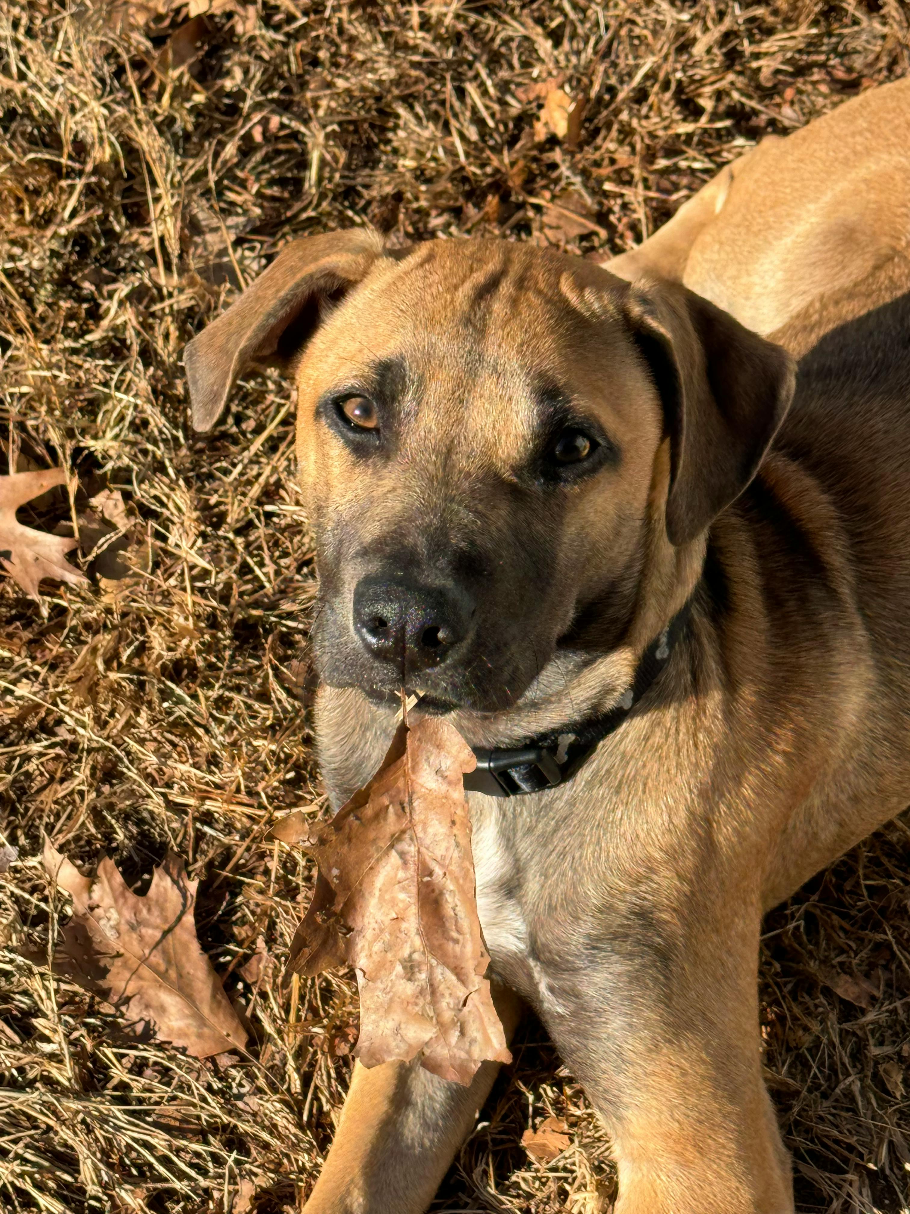 user avatar image for Swordfish2007