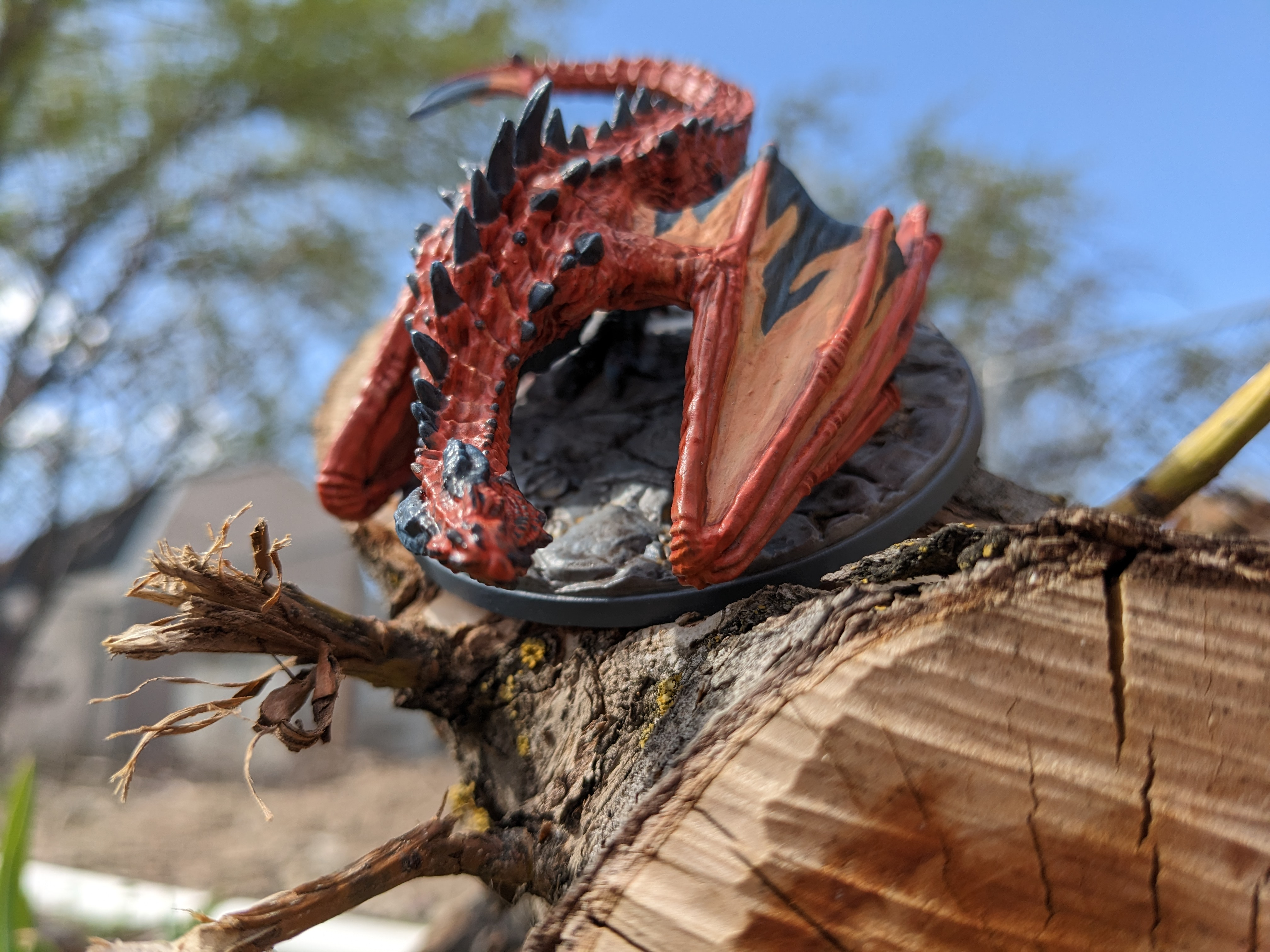 user avatar image for Vigortor