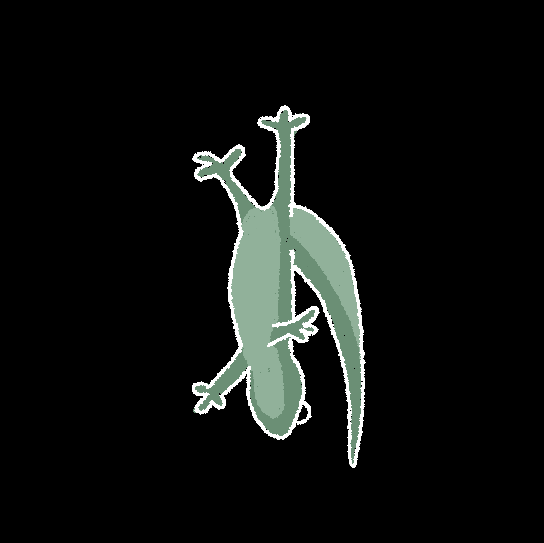 user avatar image for leo