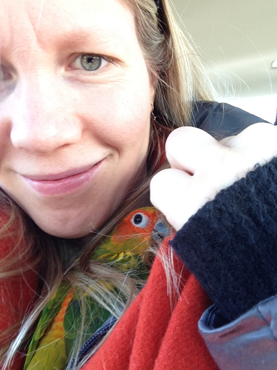 user avatar image for Erica