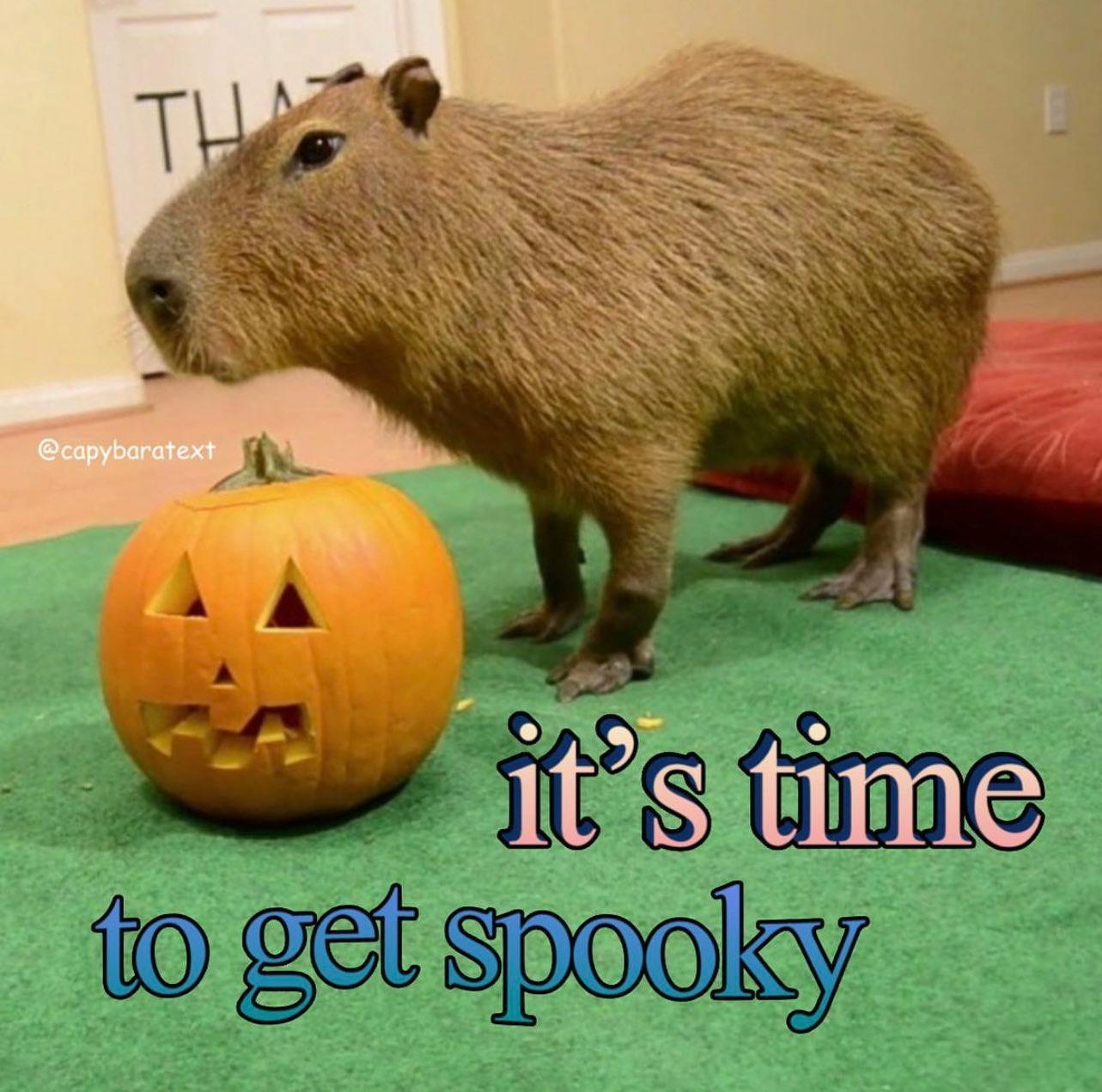 user avatar image for Mae