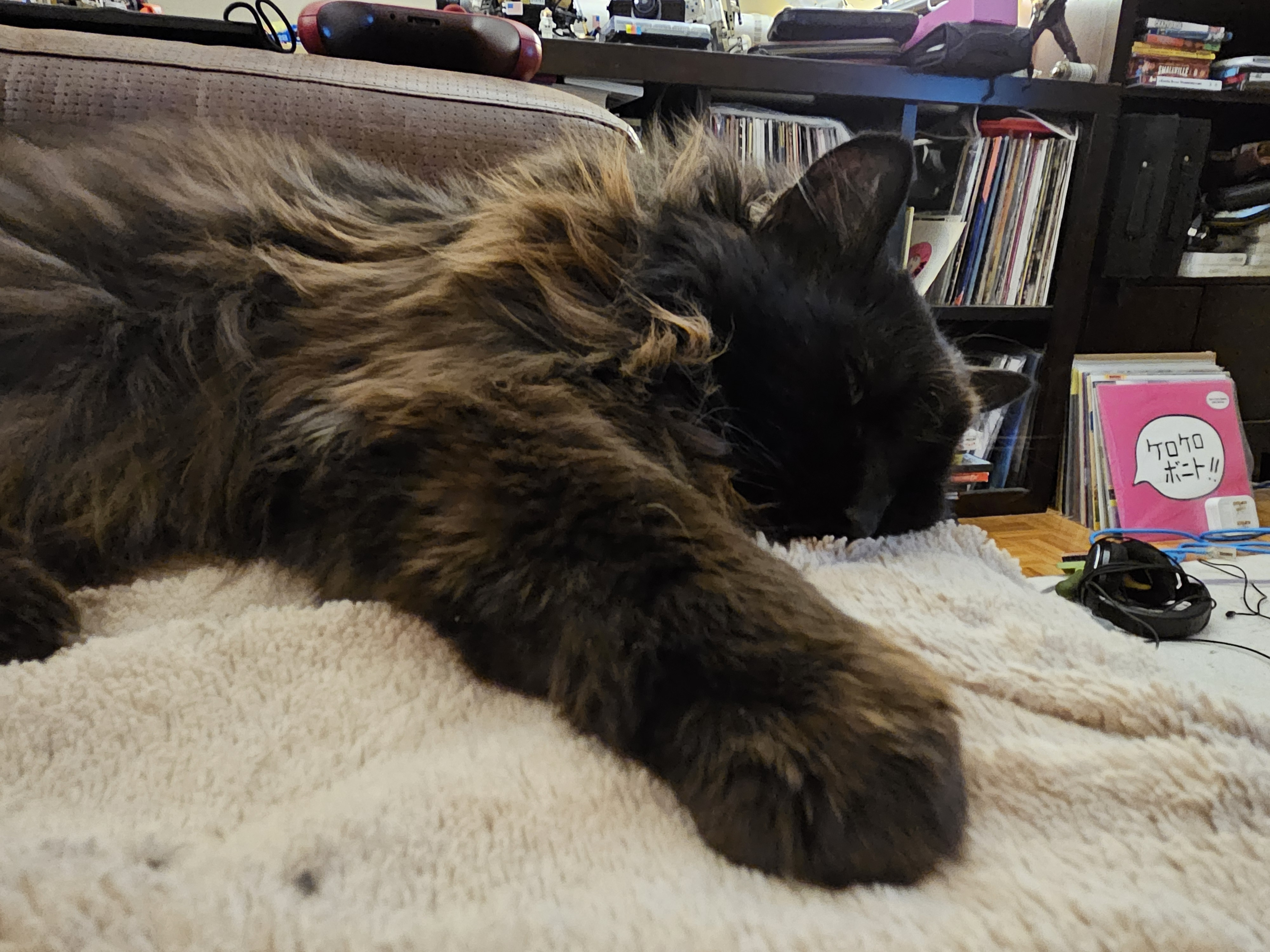 user avatar image for Catherine 