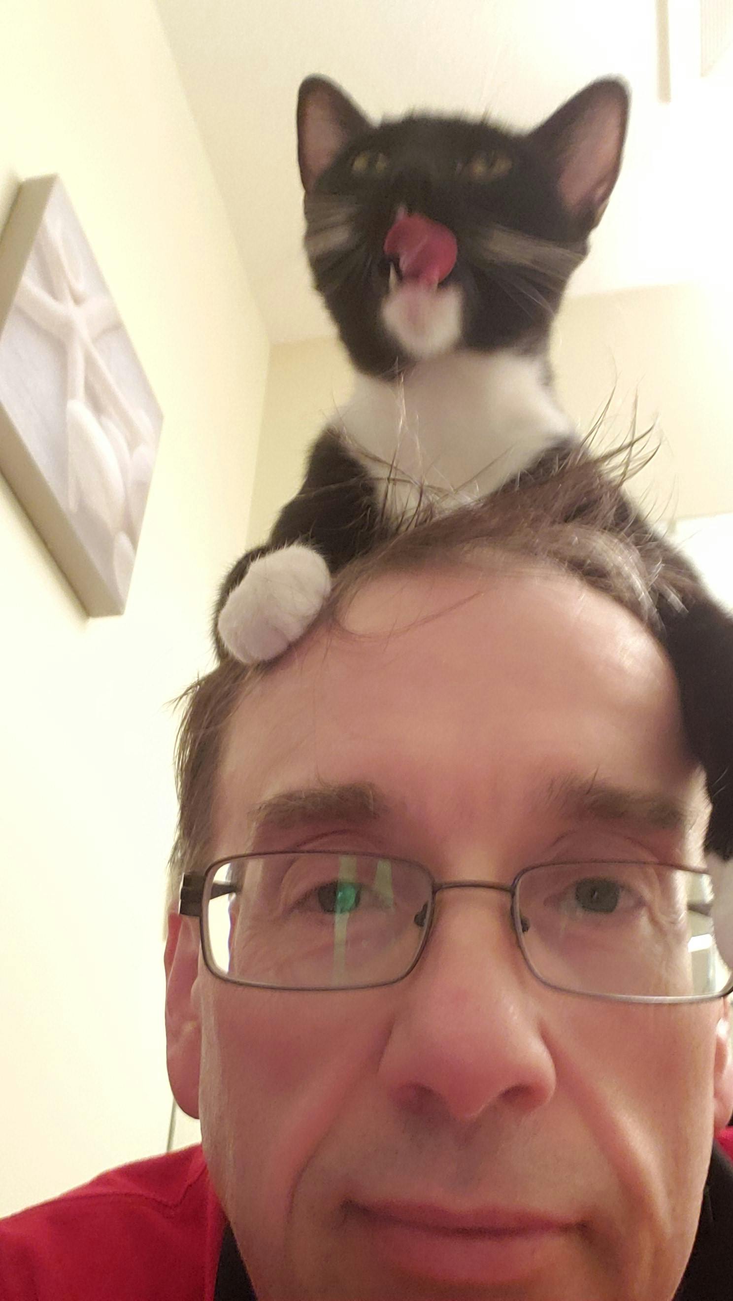 user avatar image for Brandstaff #1896228