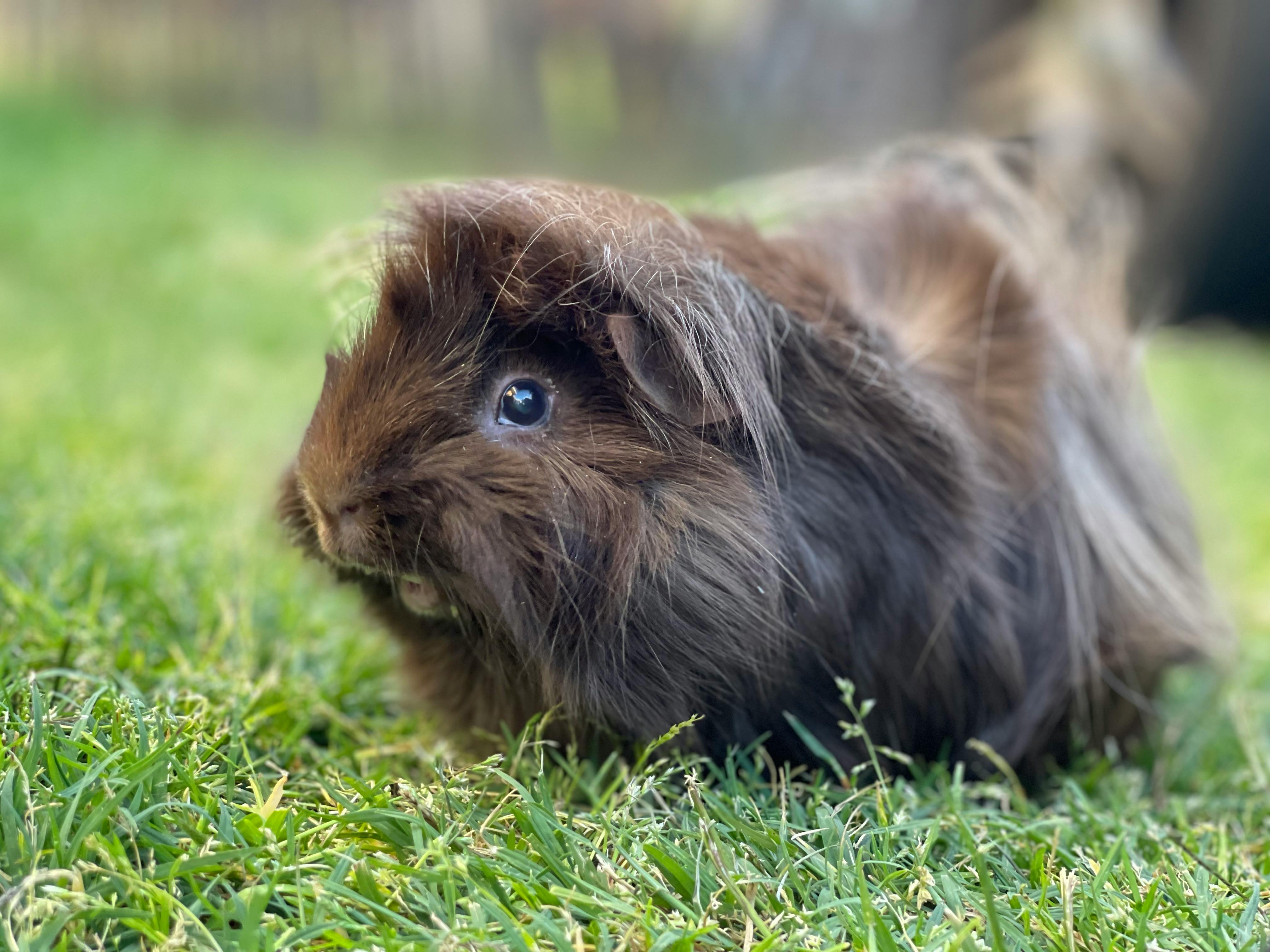 user avatar image for PenGwendolyn