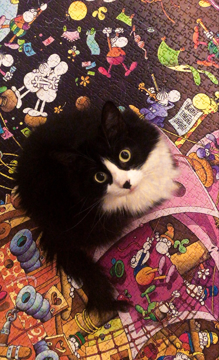 user avatar image for Stéphanie Lamy-Therrien