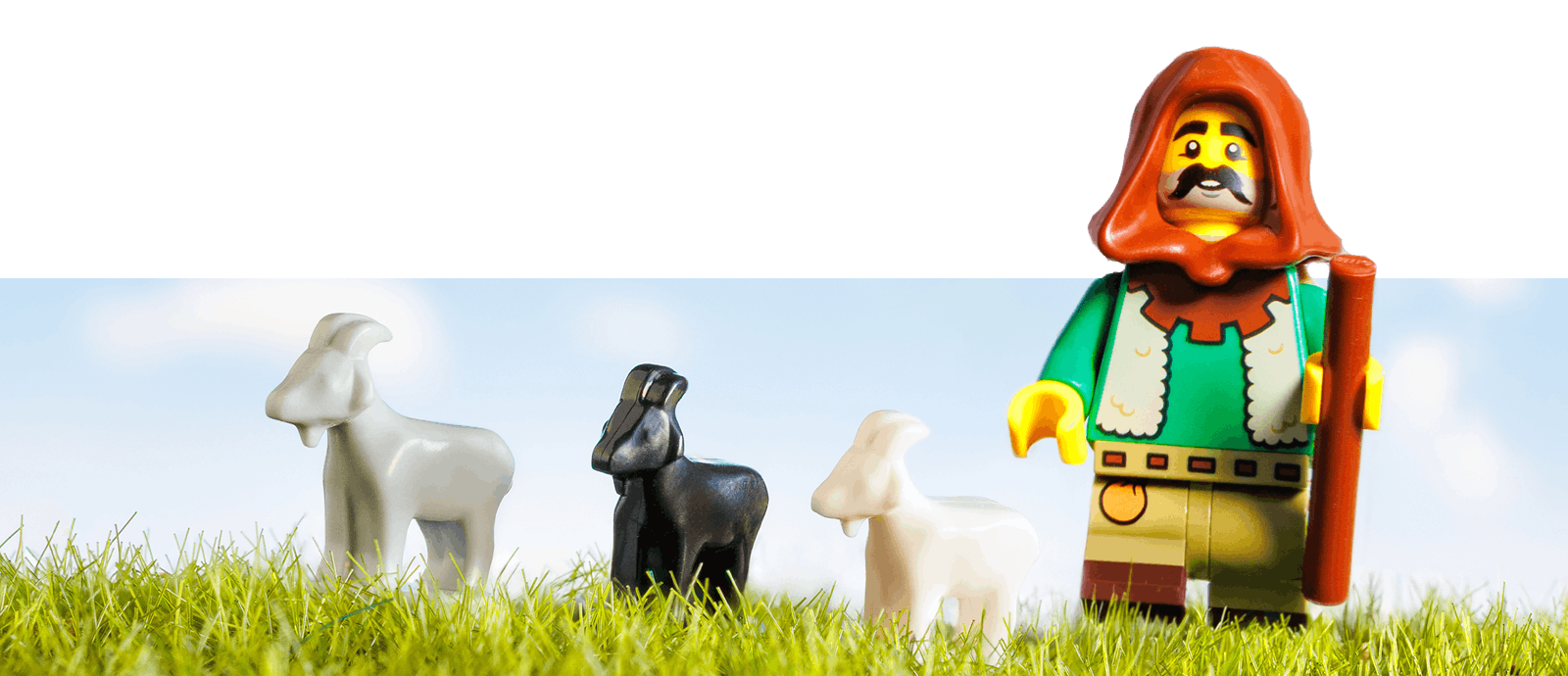 goat <LOST> S size新品未使用品 GOAT Bricks - BackerKit