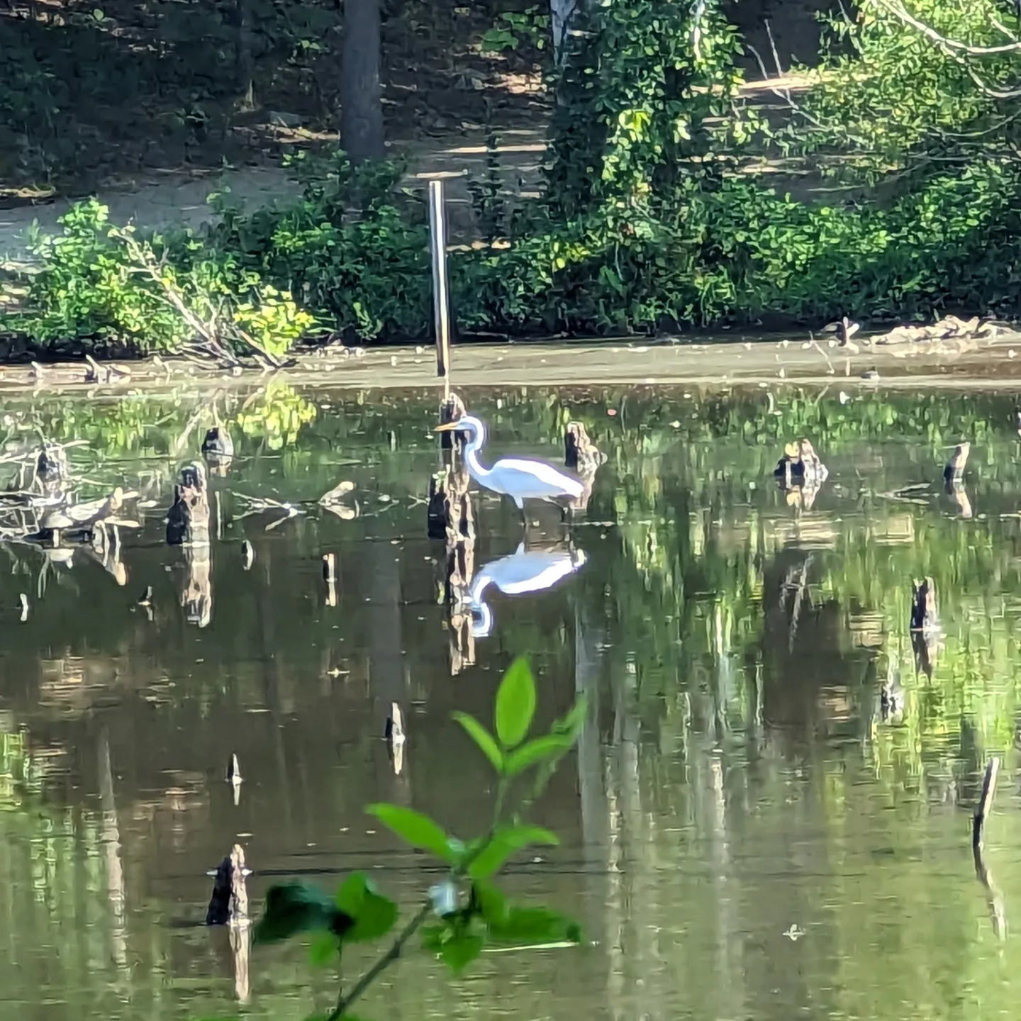 user avatar image for Ry