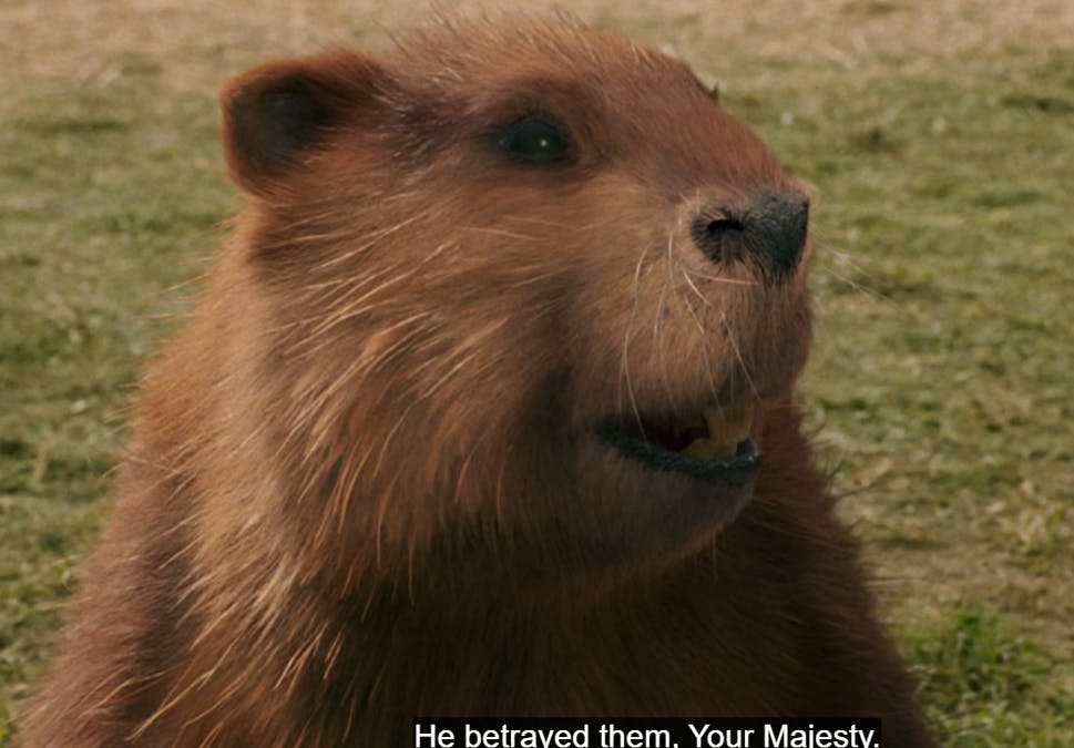 user avatar image for bi_bi_bich