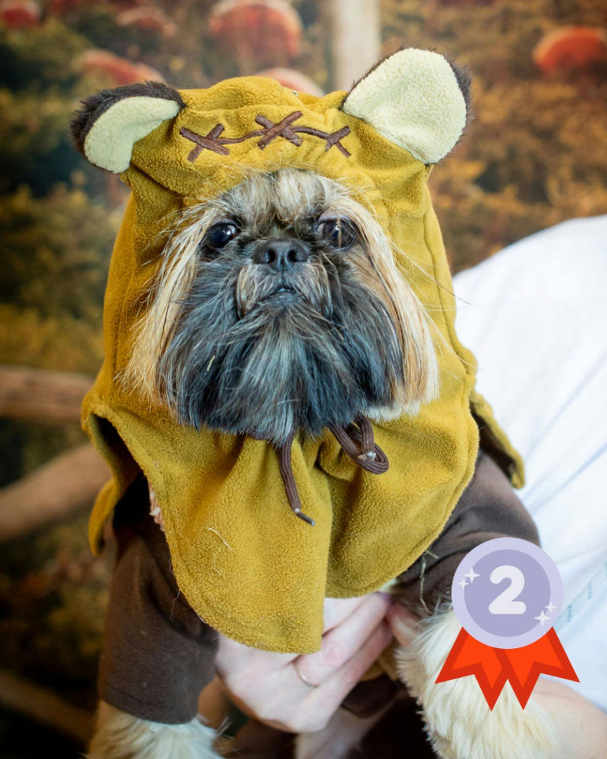 user avatar image for Cathy Pearson