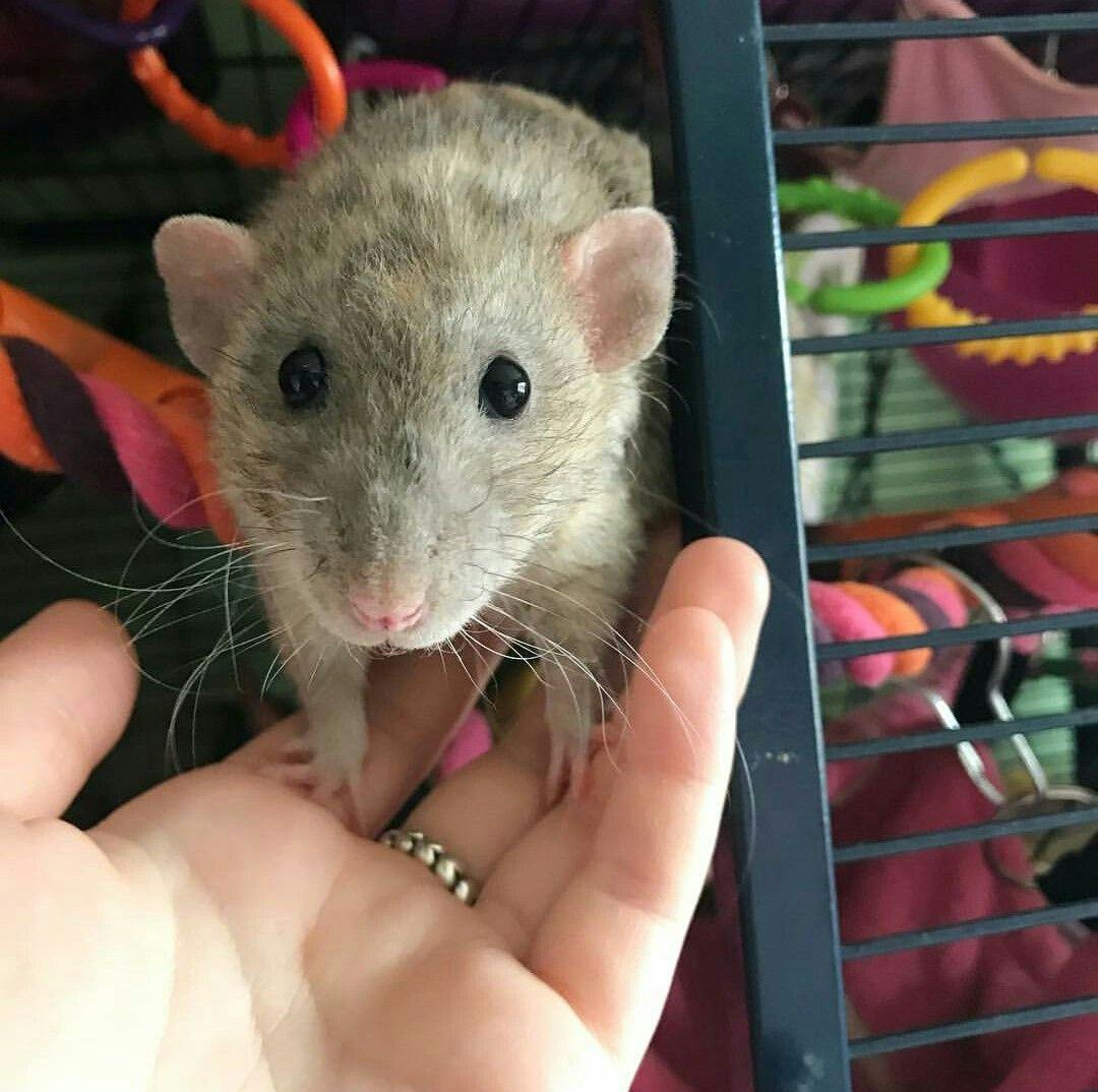 user avatar image for Gus