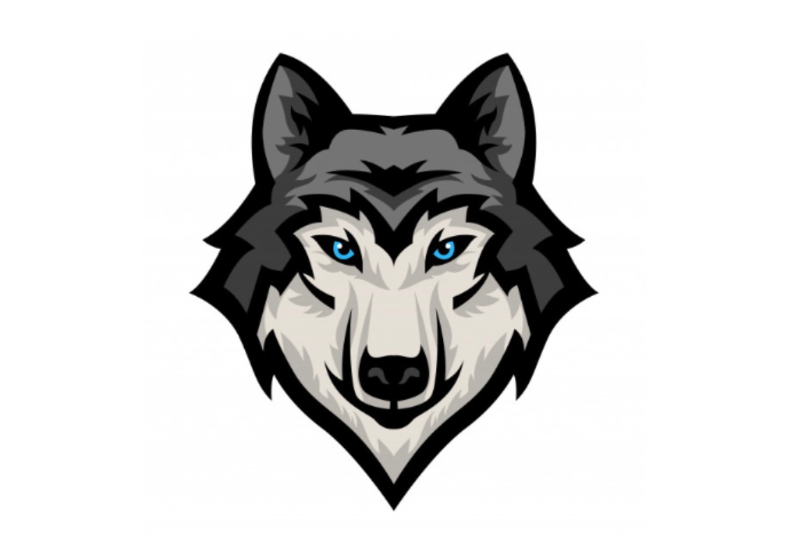 user avatar image for Wolfie