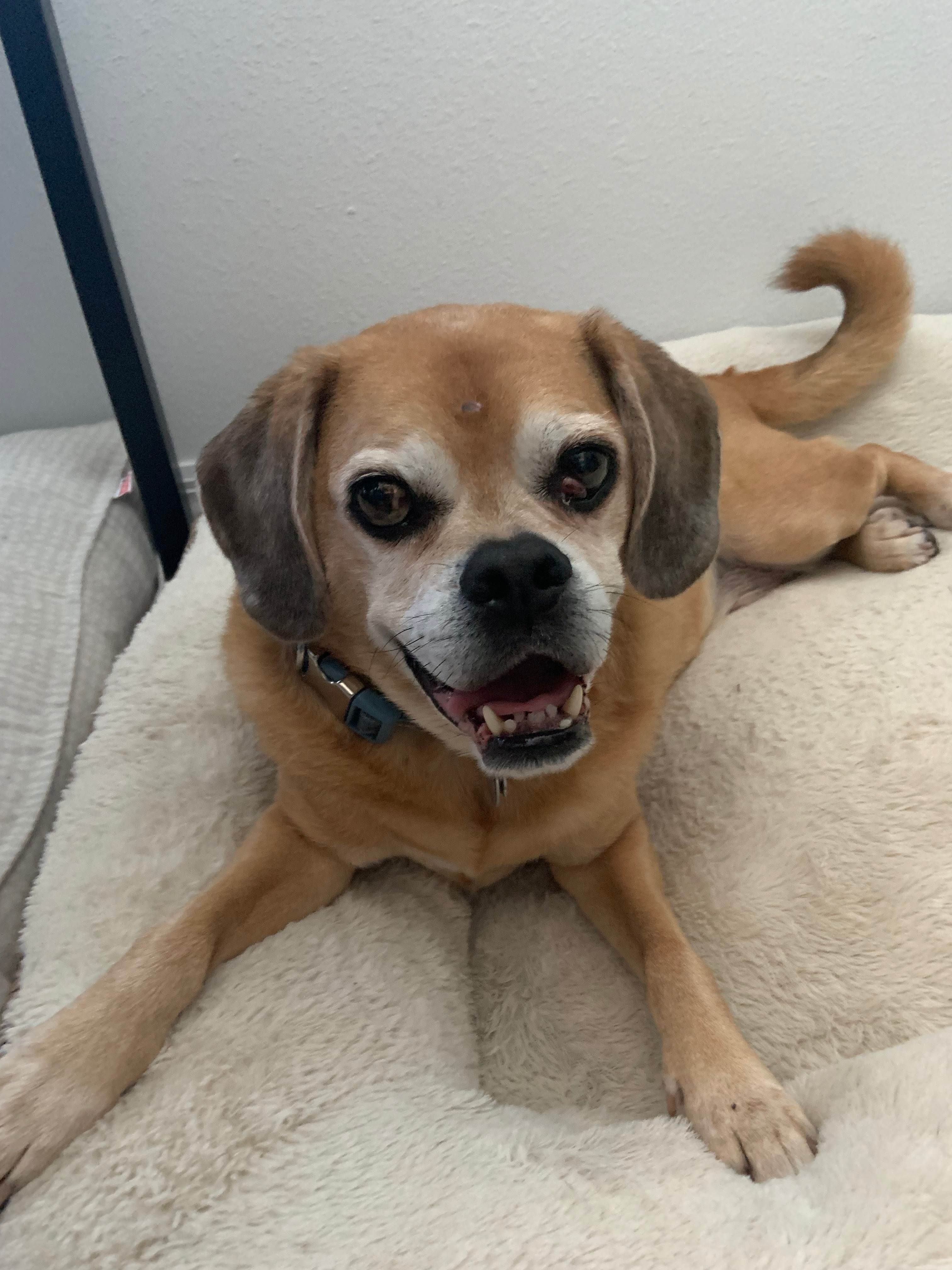 user avatar image for Chili monkey