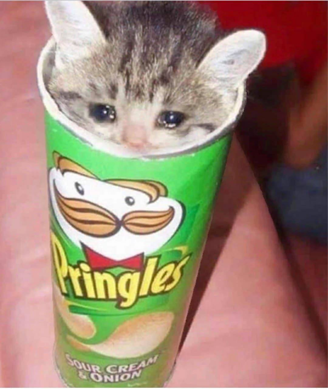 user avatar image for Zyphe