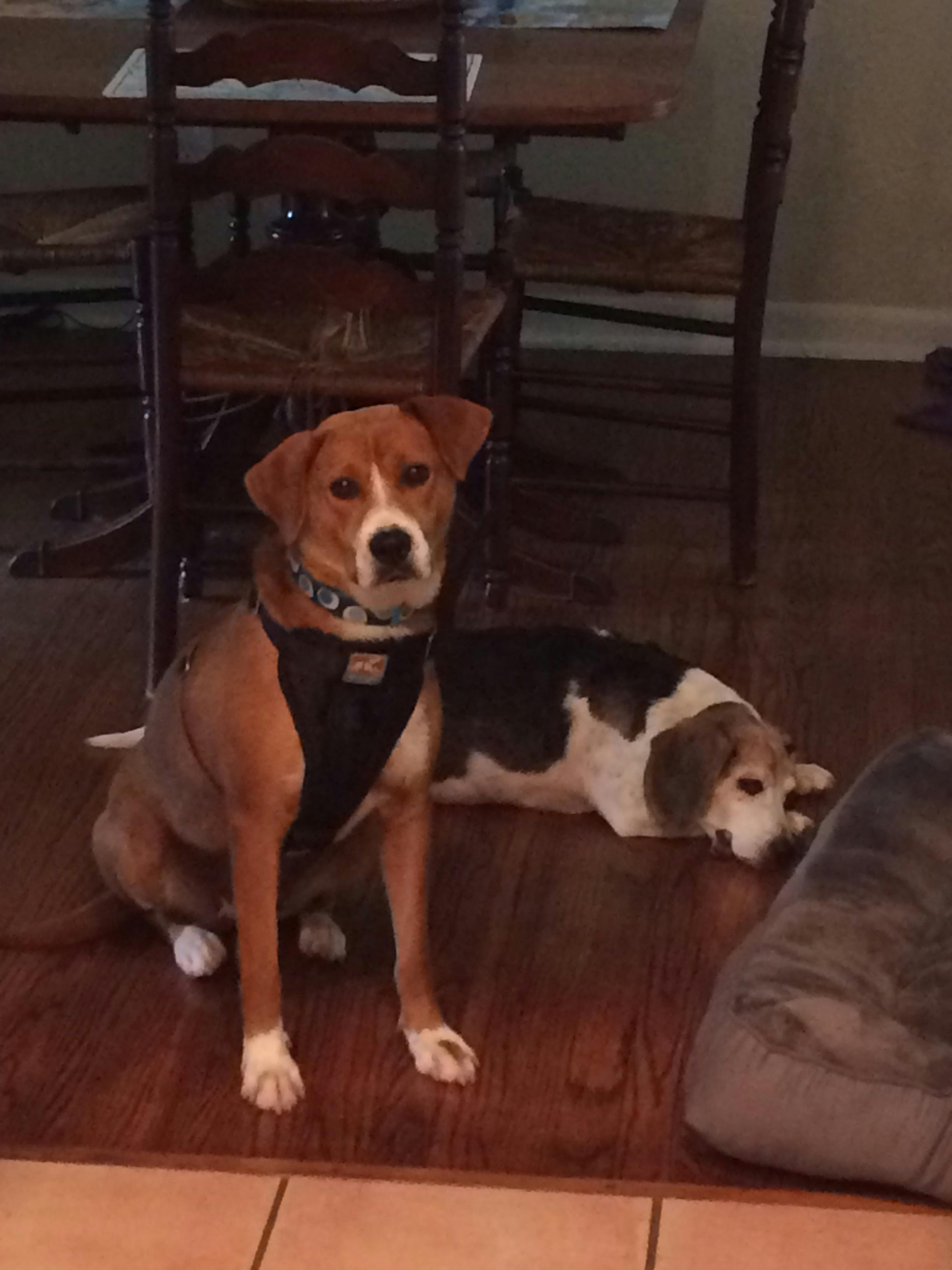 user avatar image for Shaun Gilligan