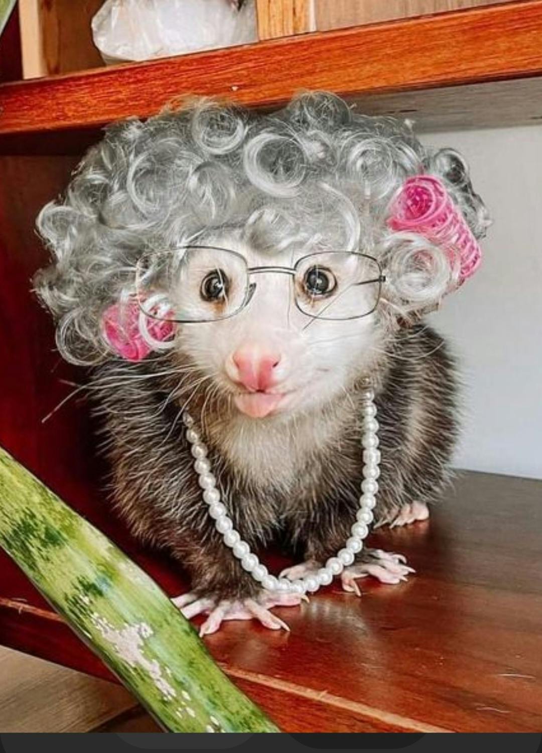 user avatar image for LittleMissSunshine