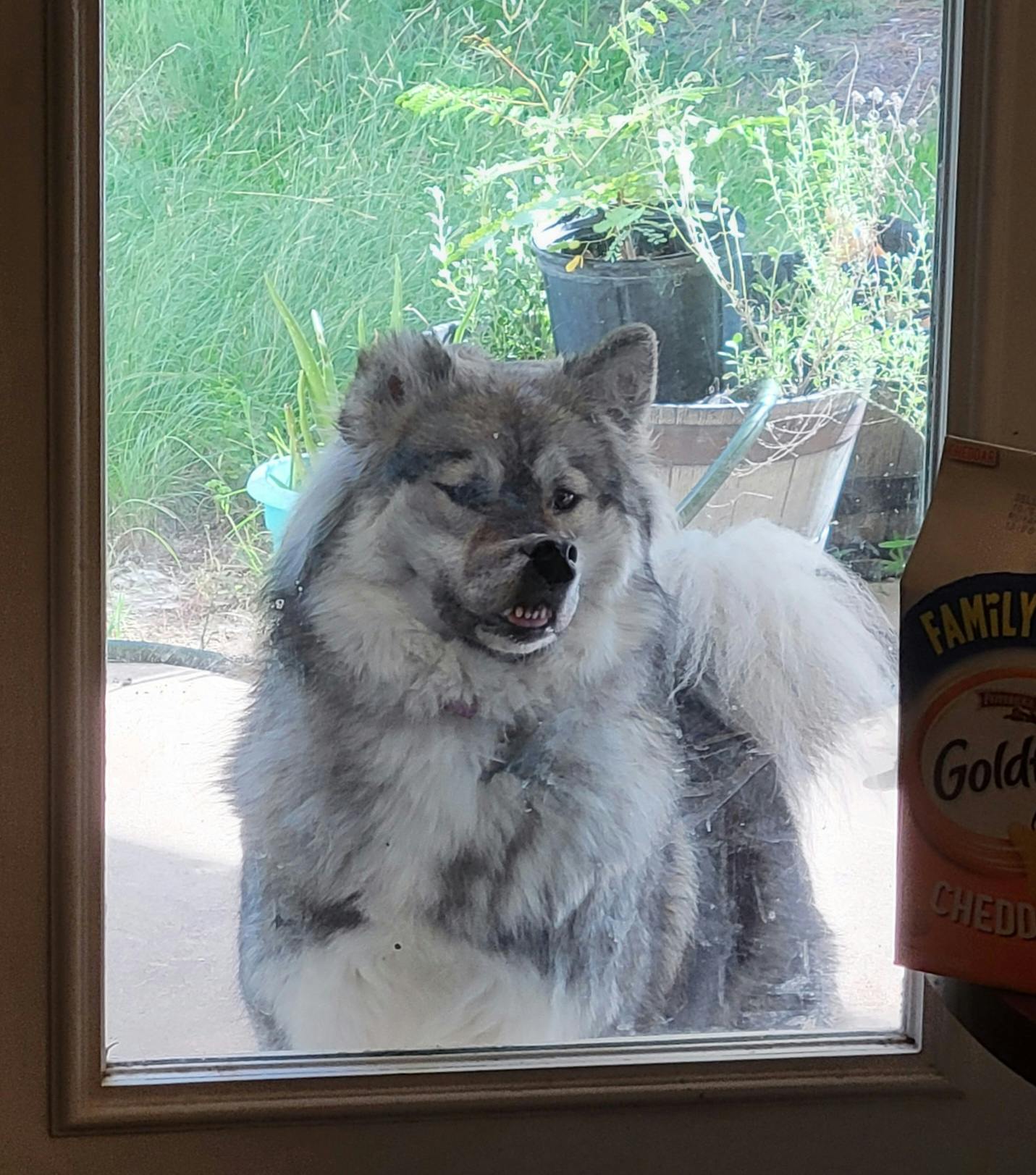 user avatar image for Katherine McGlaughlin