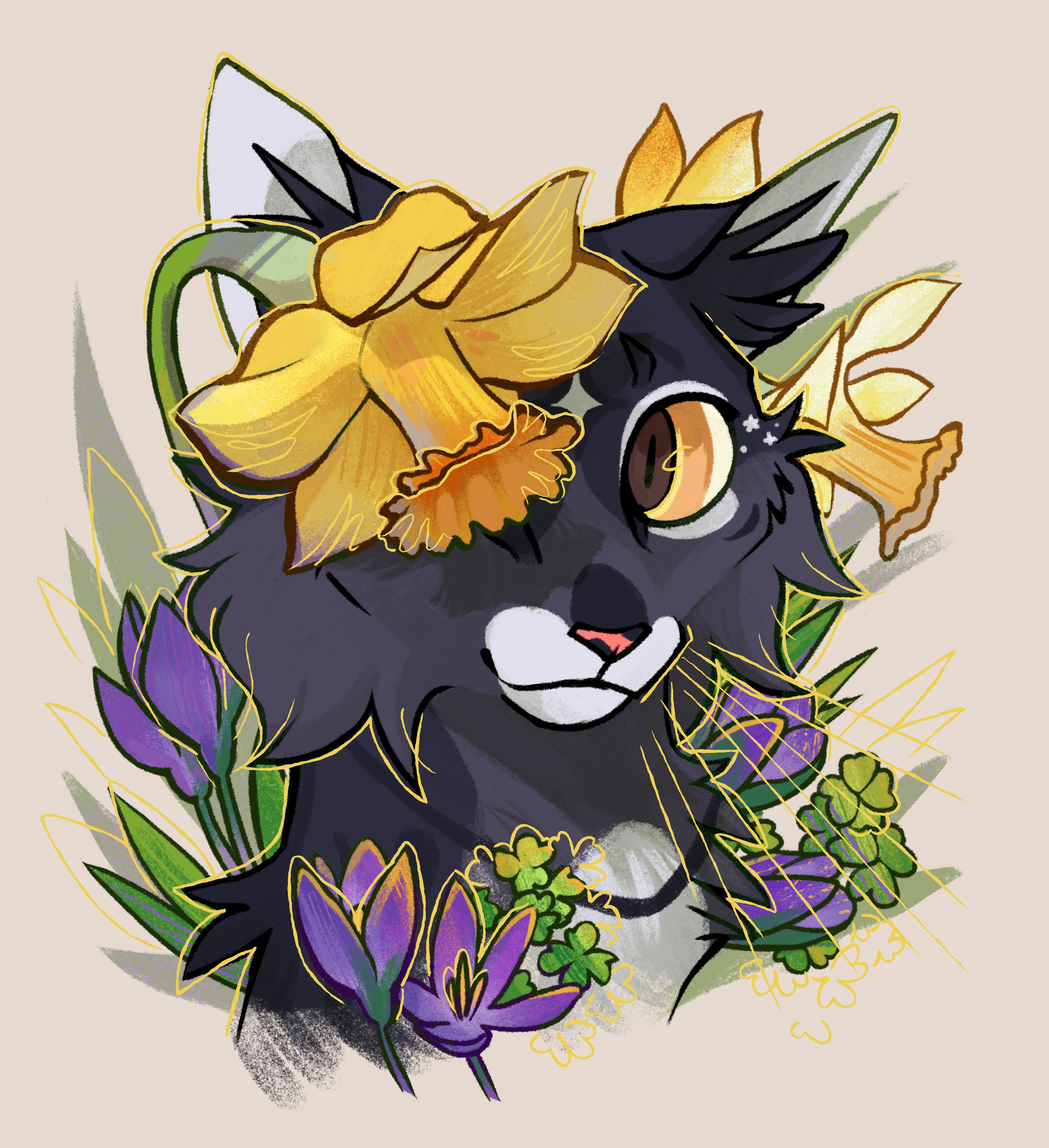 user avatar image for Kimmorz