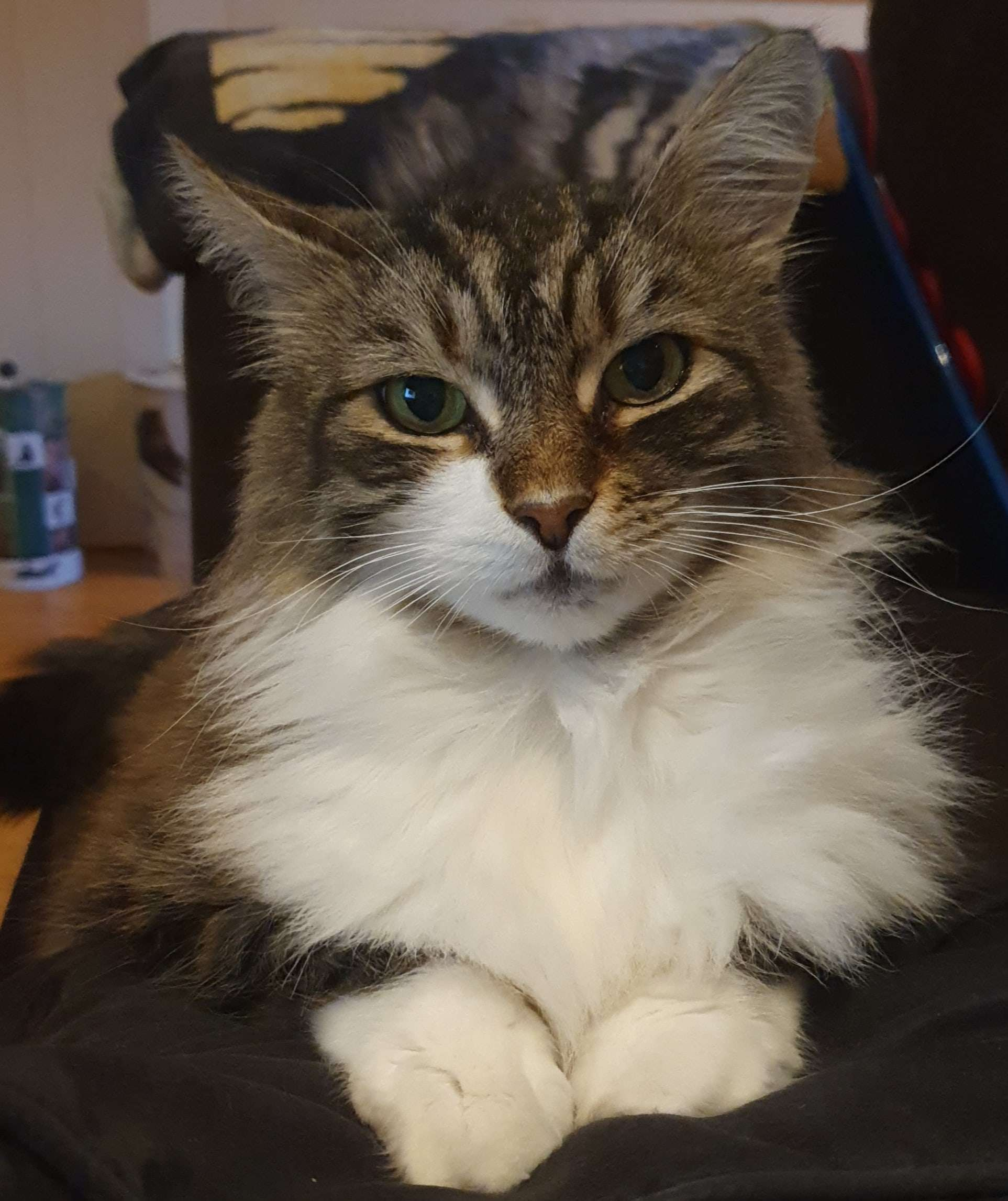 user avatar image for Irene Magnussen