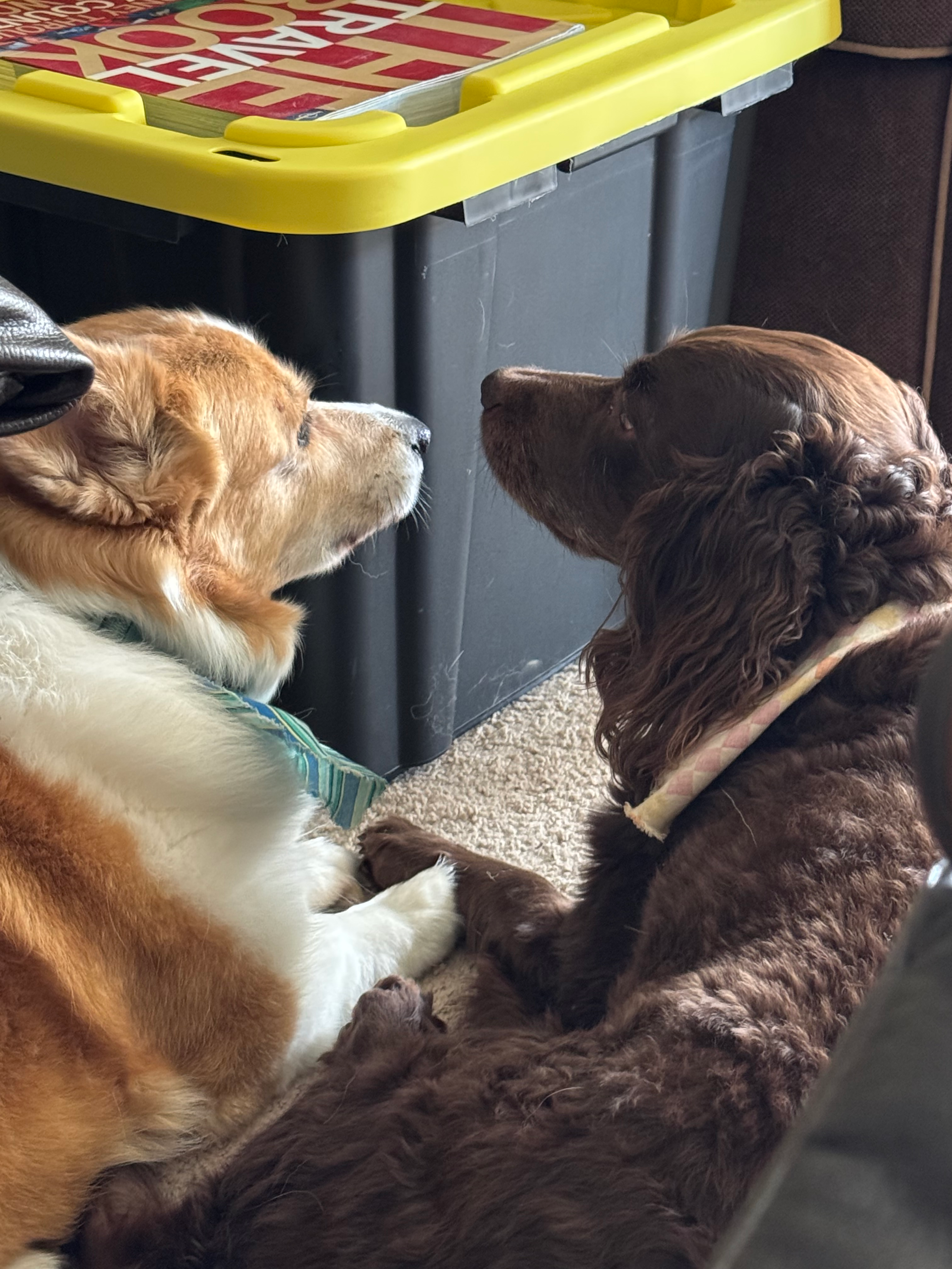 user avatar image for NahHan